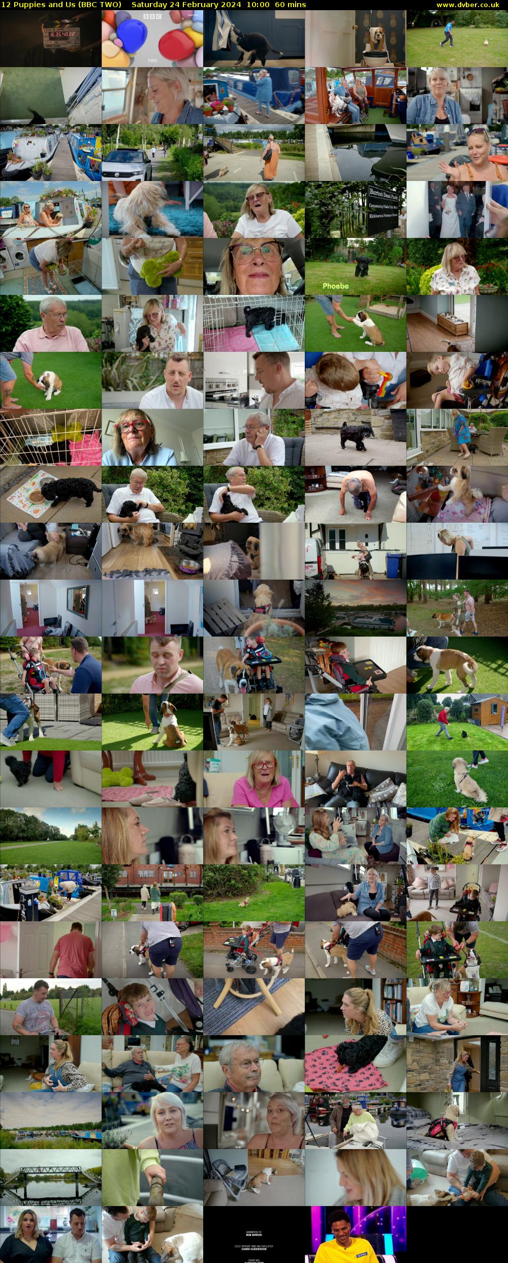 12 Puppies and Us (BBC TWO) Saturday 24 February 2024 10:00 - 11:00