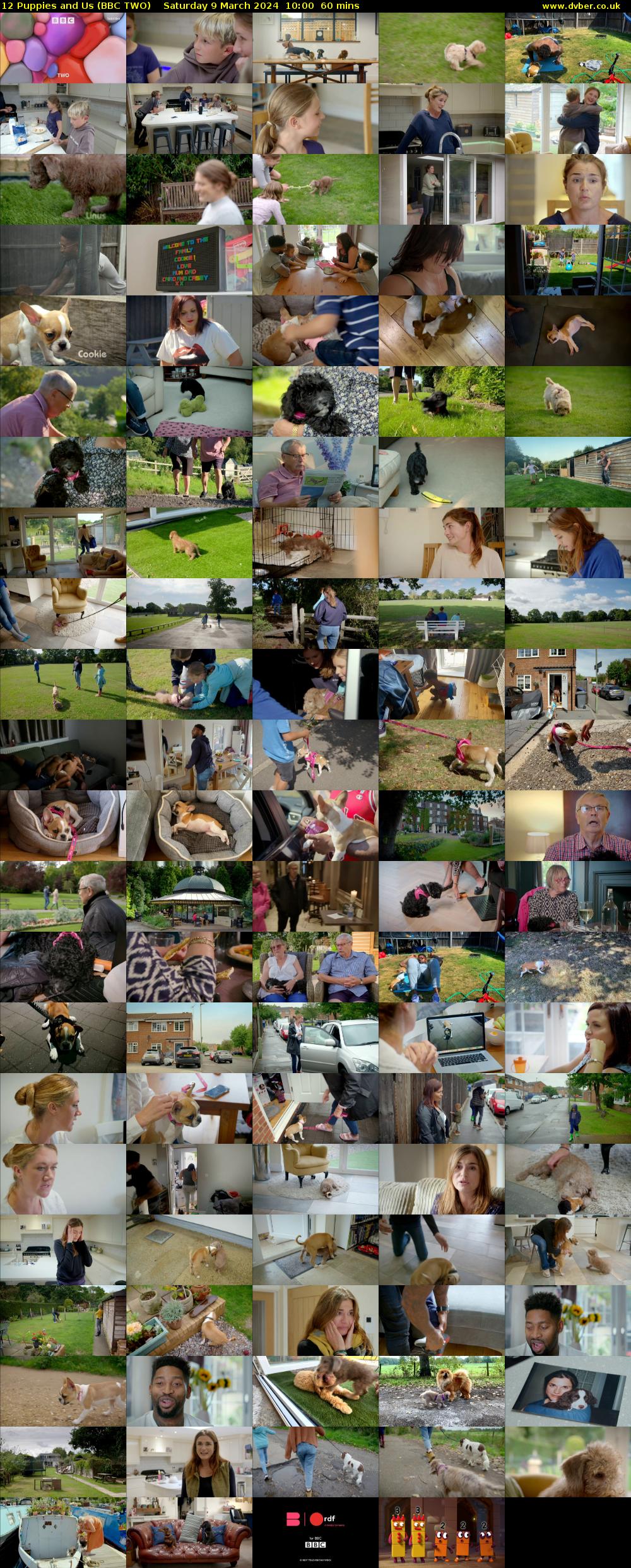 12 Puppies and Us (BBC TWO) Saturday 9 March 2024 10:00 - 11:00