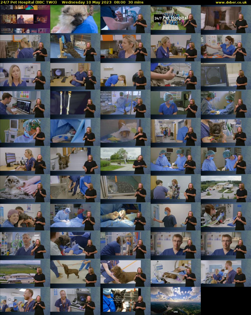24/7 Pet Hospital (BBC TWO) Wednesday 10 May 2023 08:00 - 08:30