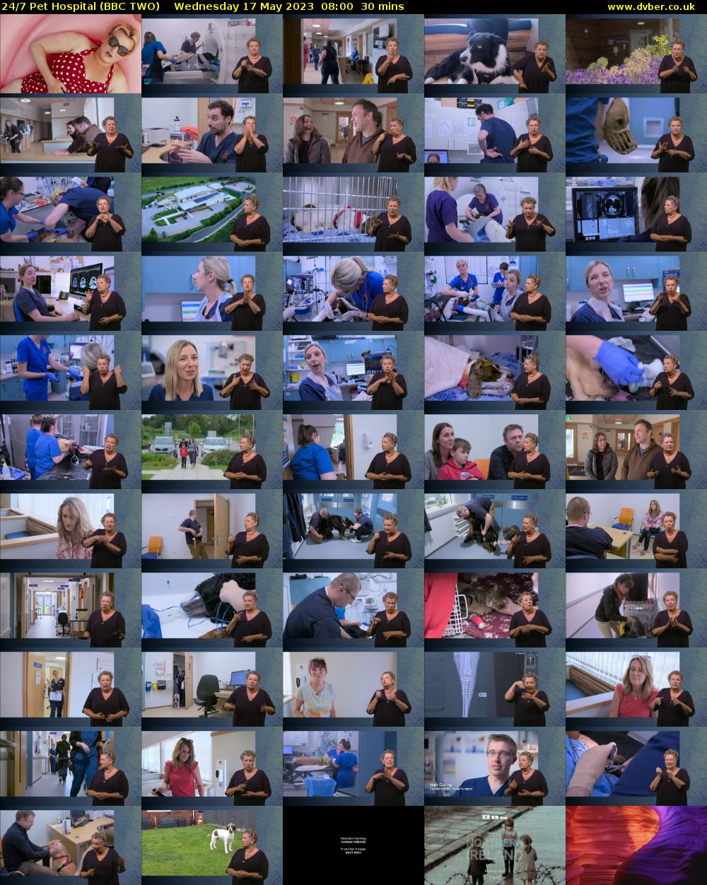 24/7 Pet Hospital (BBC TWO) Friday 12 August 2022 08:00 - 03:00