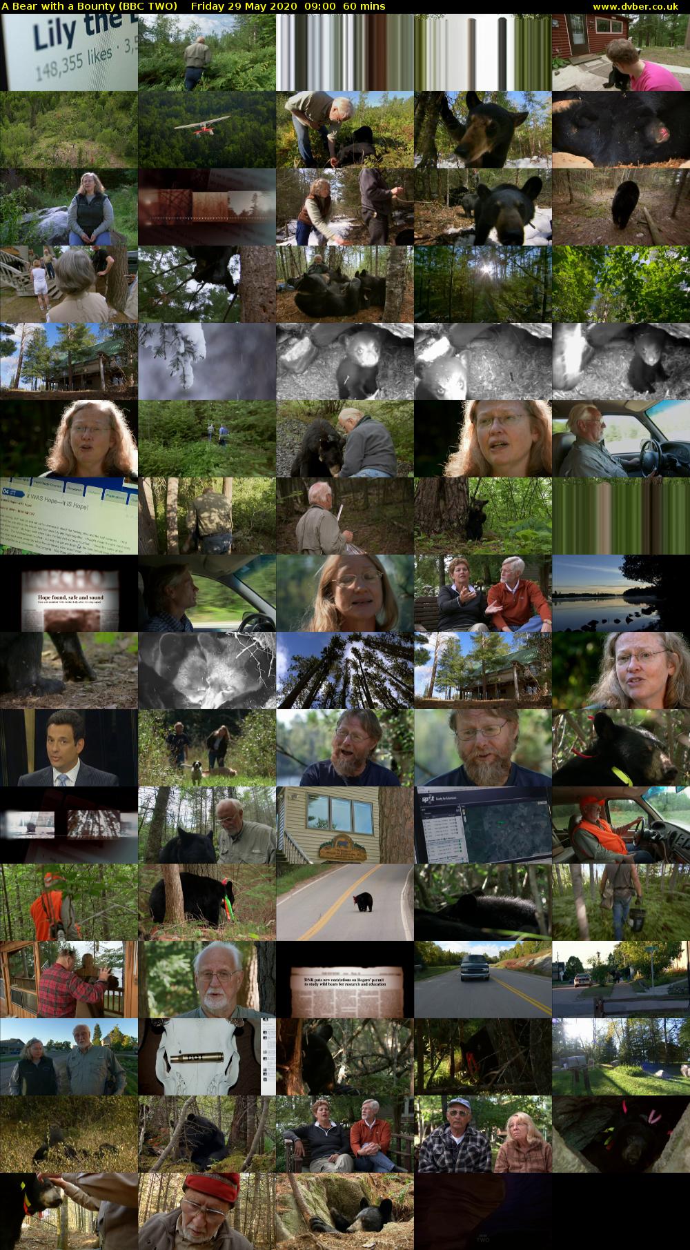 A Bear with a Bounty (BBC TWO) Friday 29 May 2020 09:00 - 10:00