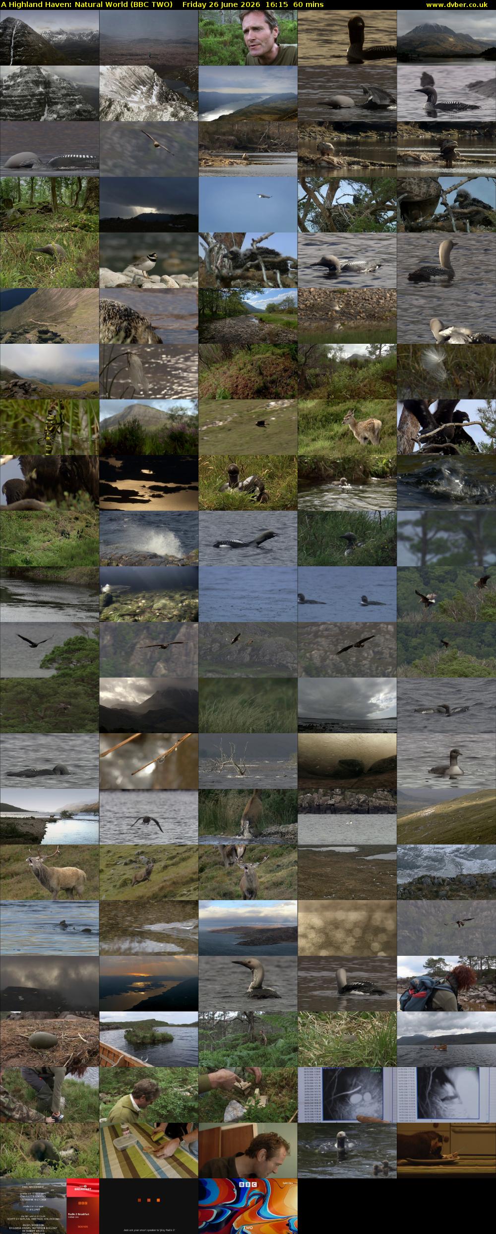 A Highland Haven: Natural World (BBC TWO) Friday 26 June 2026 16:15 - 17:15