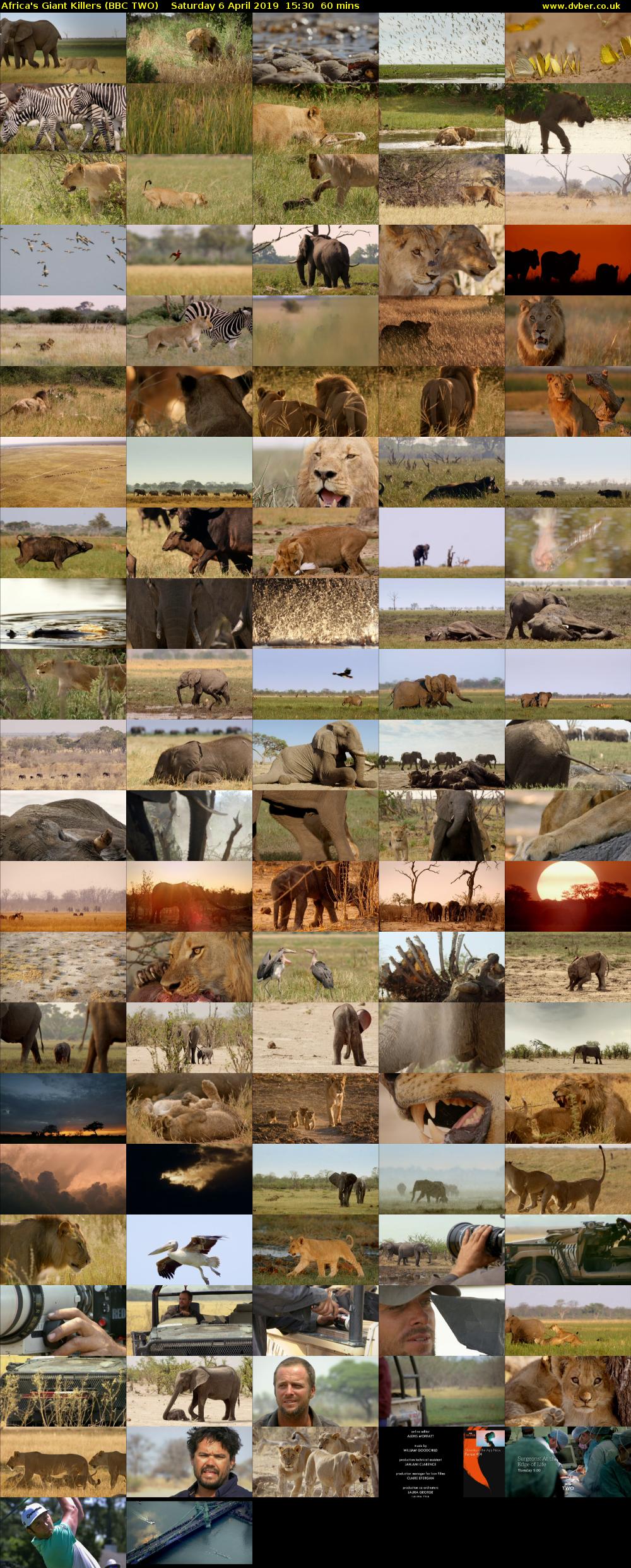 Africa's Giant Killers (BBC TWO) Saturday 6 April 2019 15:30 - 16:30