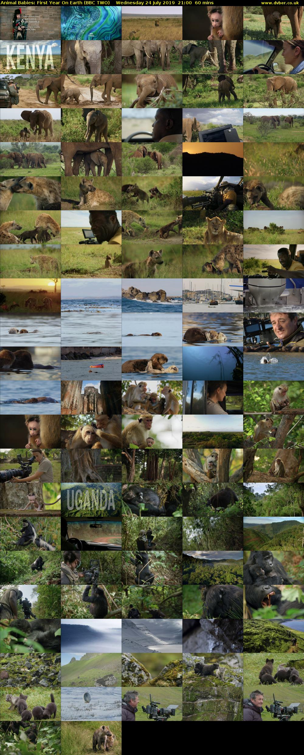 Animal Babies: First Year On Earth (BBC TWO) Wednesday 24 July 2019 21:00 - 22:00