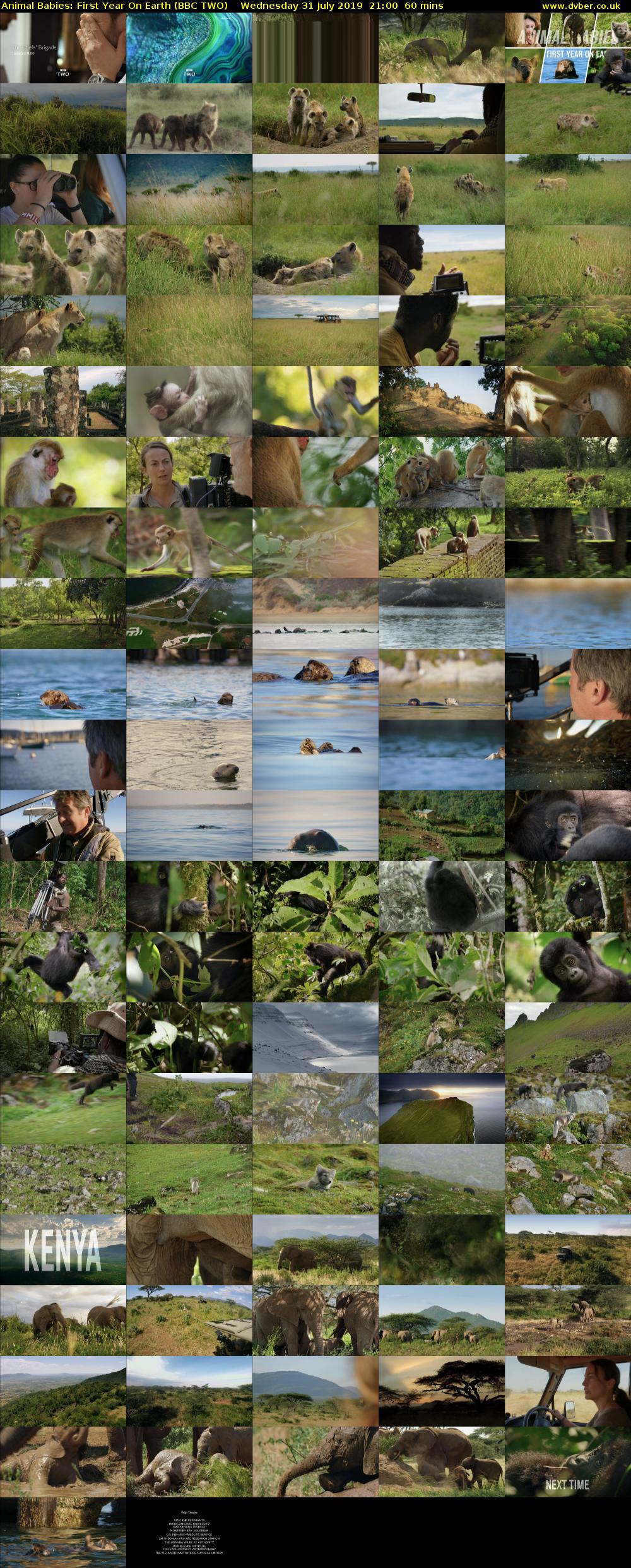 Animal Babies: First Year On Earth (BBC TWO) Wednesday 31 July 2019 21:00 - 22:00