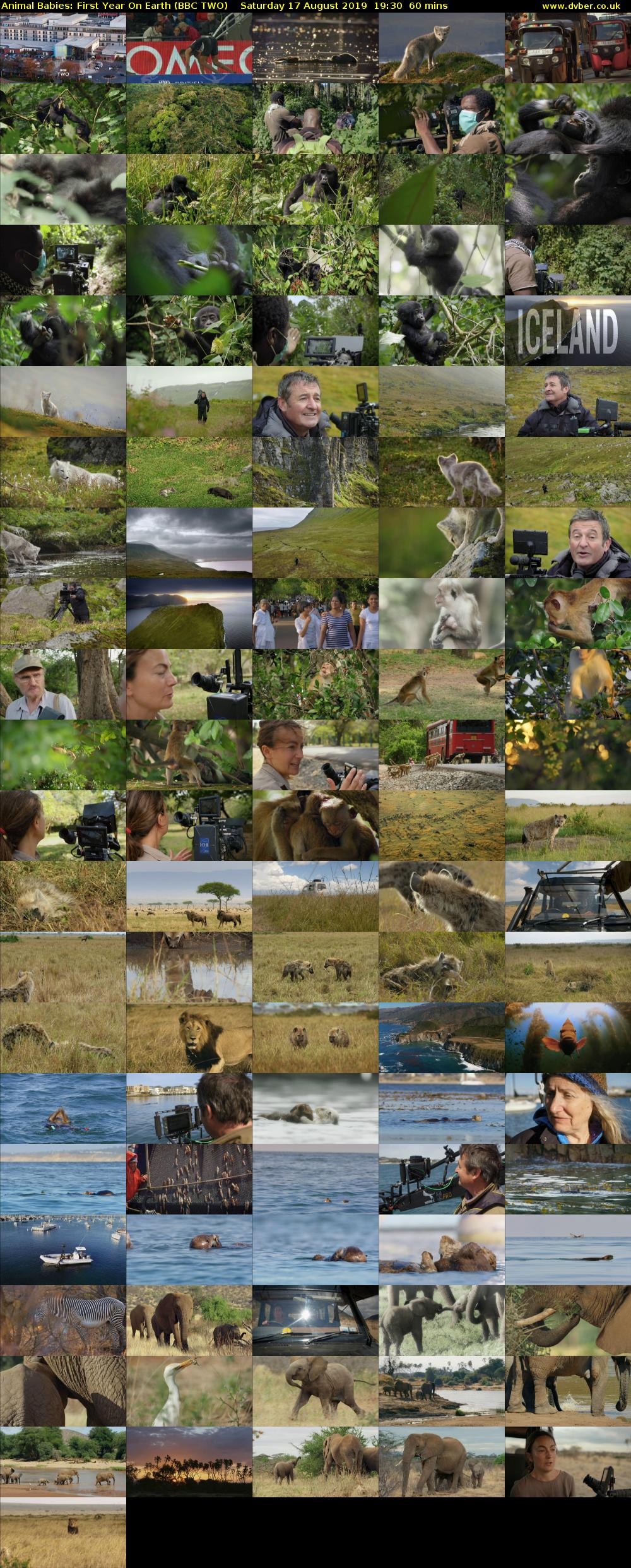 Animal Babies: First Year On Earth (BBC TWO) Saturday 17 August 2019 19:30 - 20:30