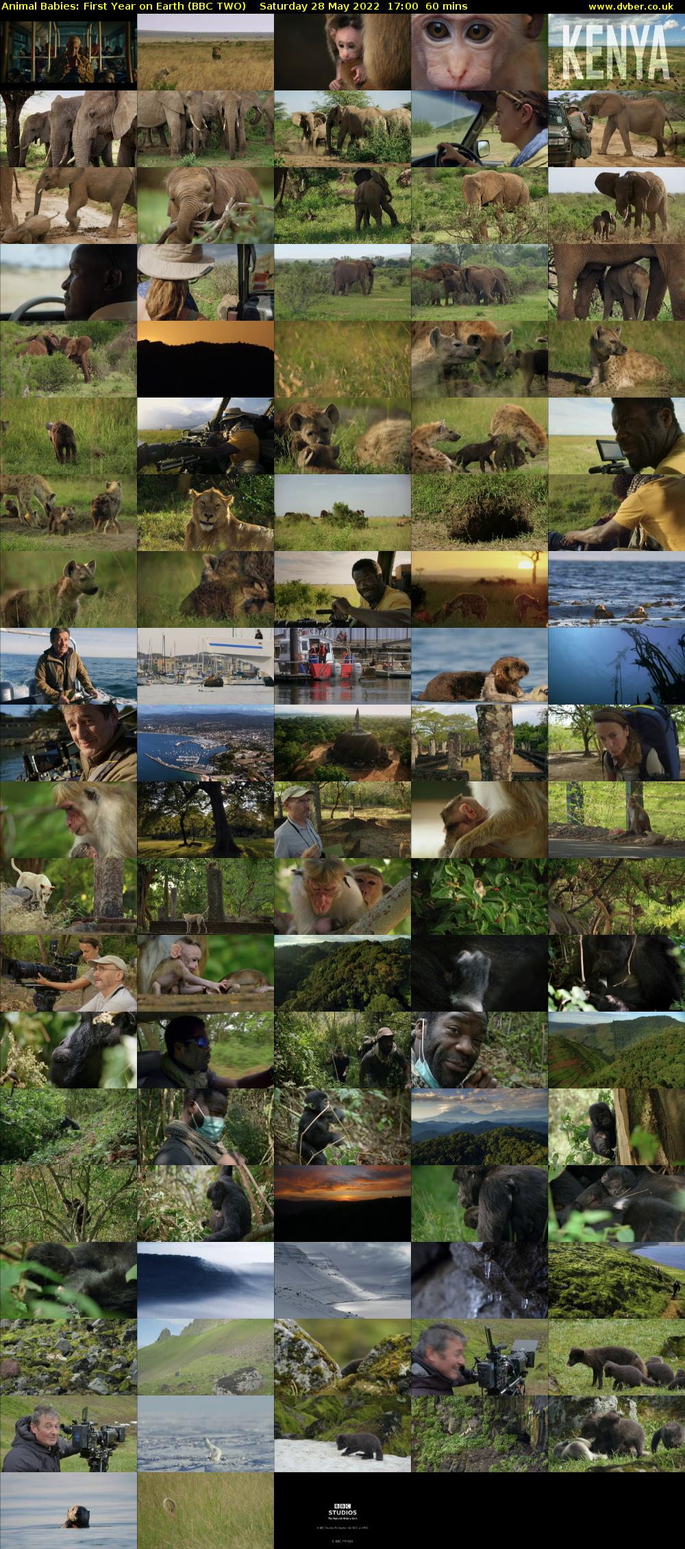 Animal Babies: First Year On Earth (BBC TWO) Saturday 28 May 2022 17:00 - 18:00