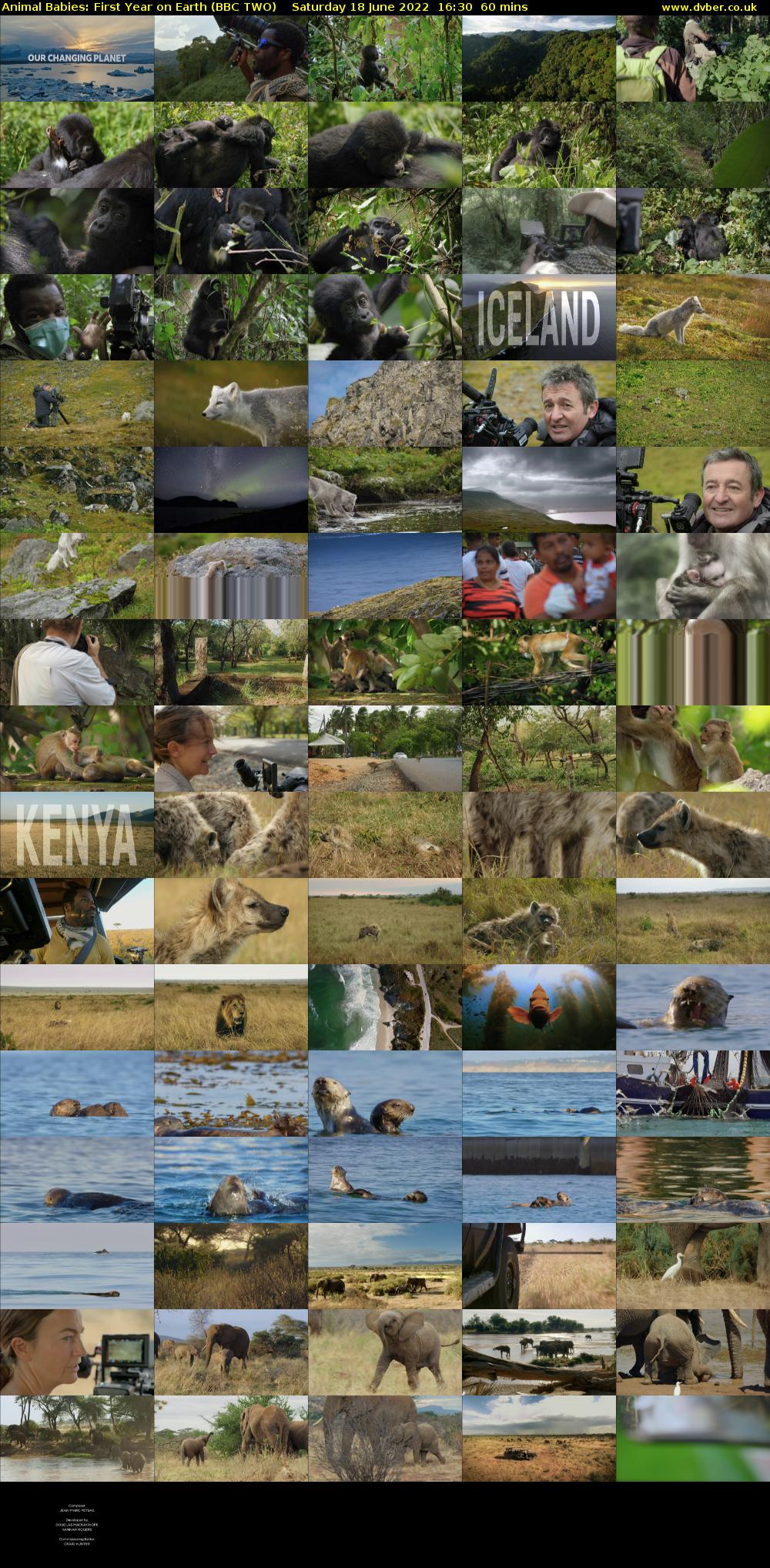 Animal Babies: First Year On Earth (BBC TWO) Saturday 18 June 2022 16:30 - 17:30