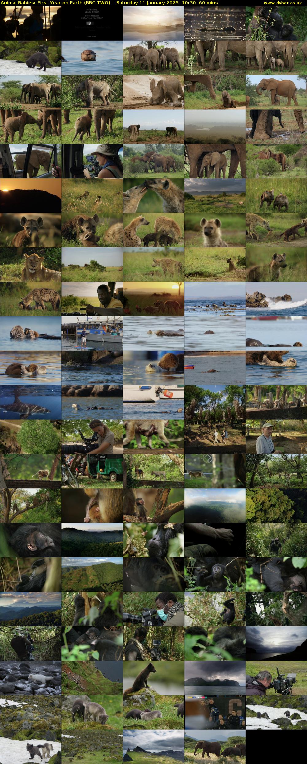Animal Babies: First Year On Earth (BBC TWO) Saturday 11 January 2025 10:30 - 11:30