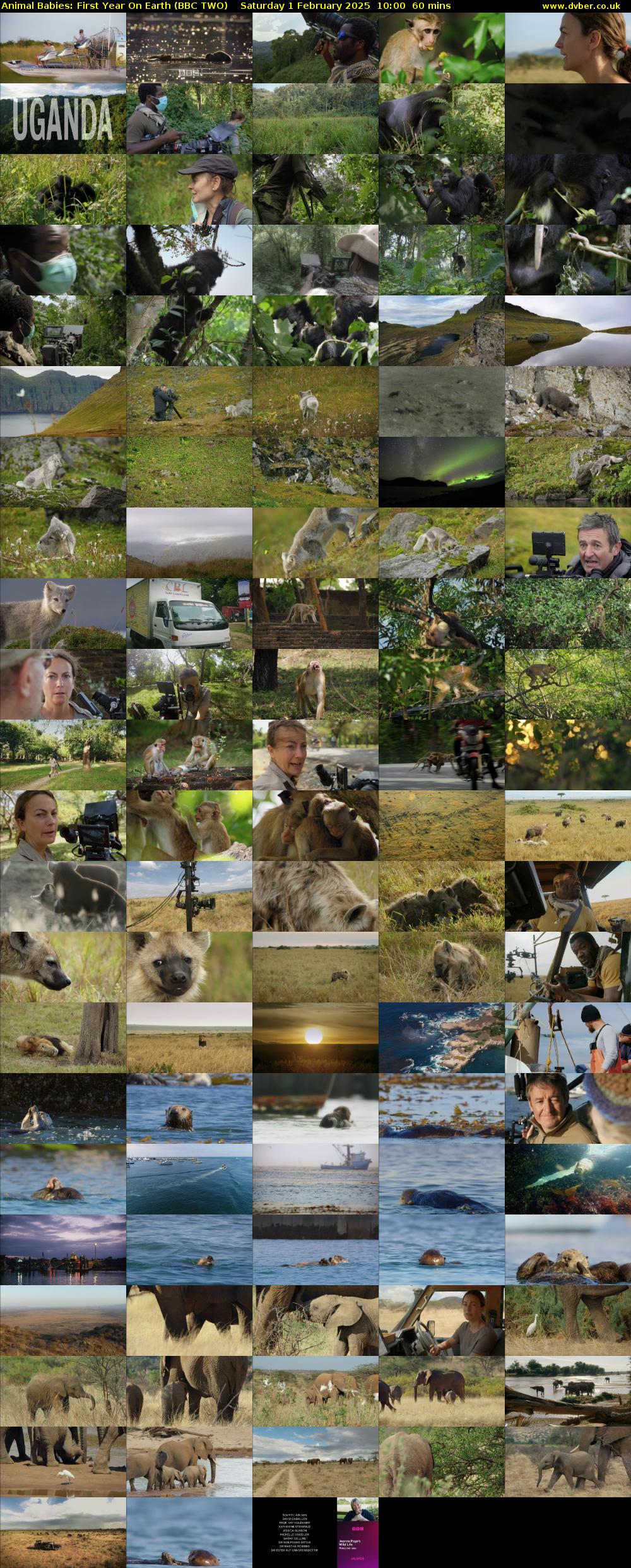 Animal Babies: First Year On Earth (BBC TWO) Saturday 1 February 2025 10:00 - 11:00