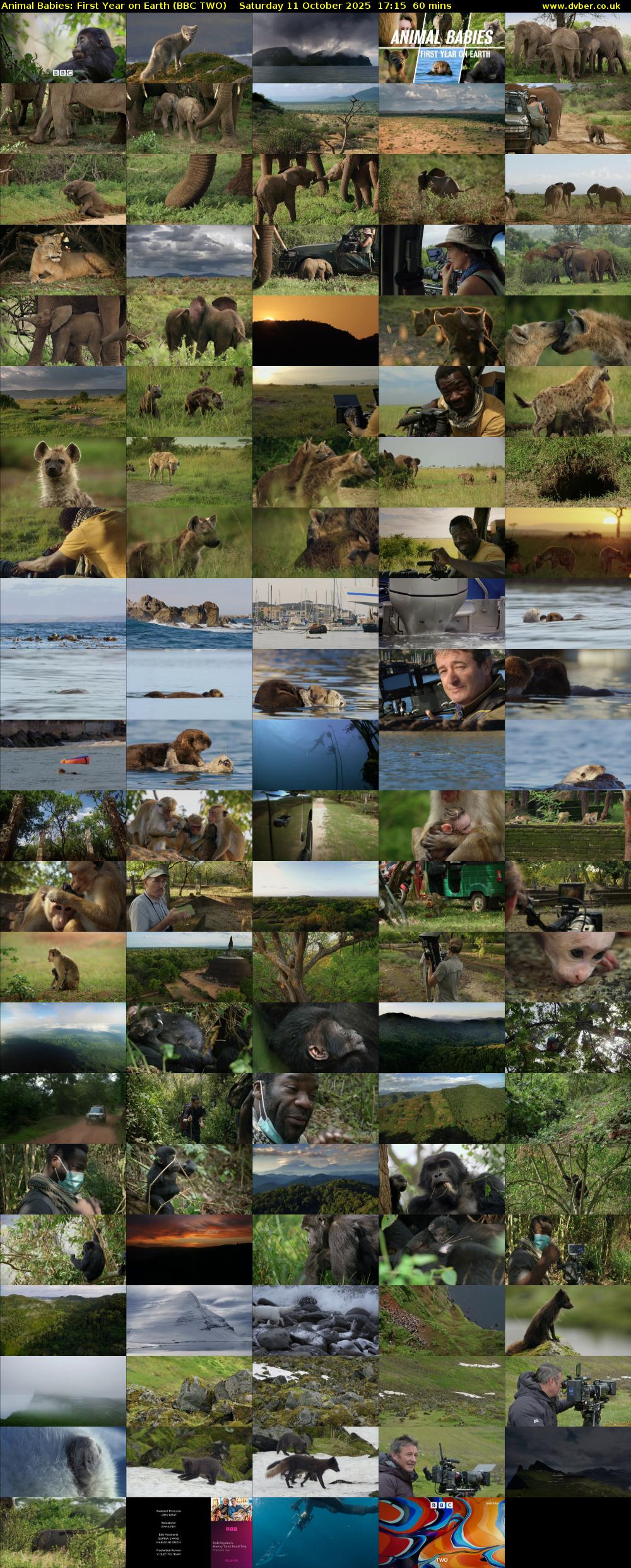 Animal Babies: First Year On Earth (BBC TWO) Saturday 11 October 2025 17:15 - 18:15