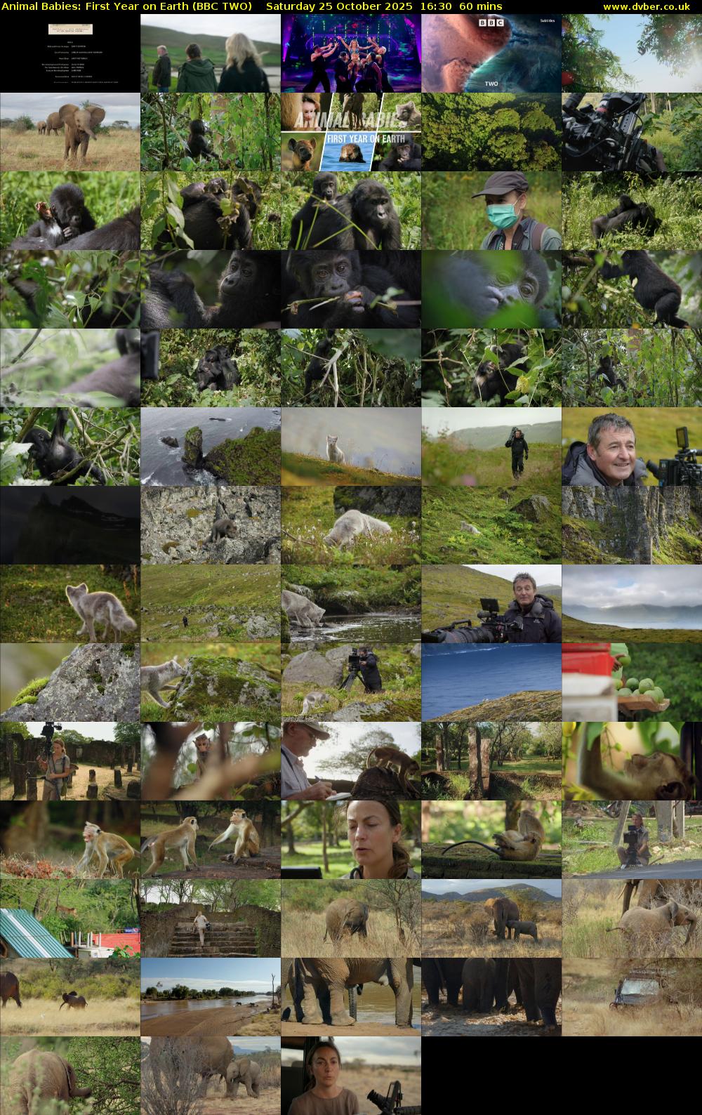 Animal Babies: First Year On Earth (BBC TWO) Saturday 25 October 2025 16:30 - 17:30