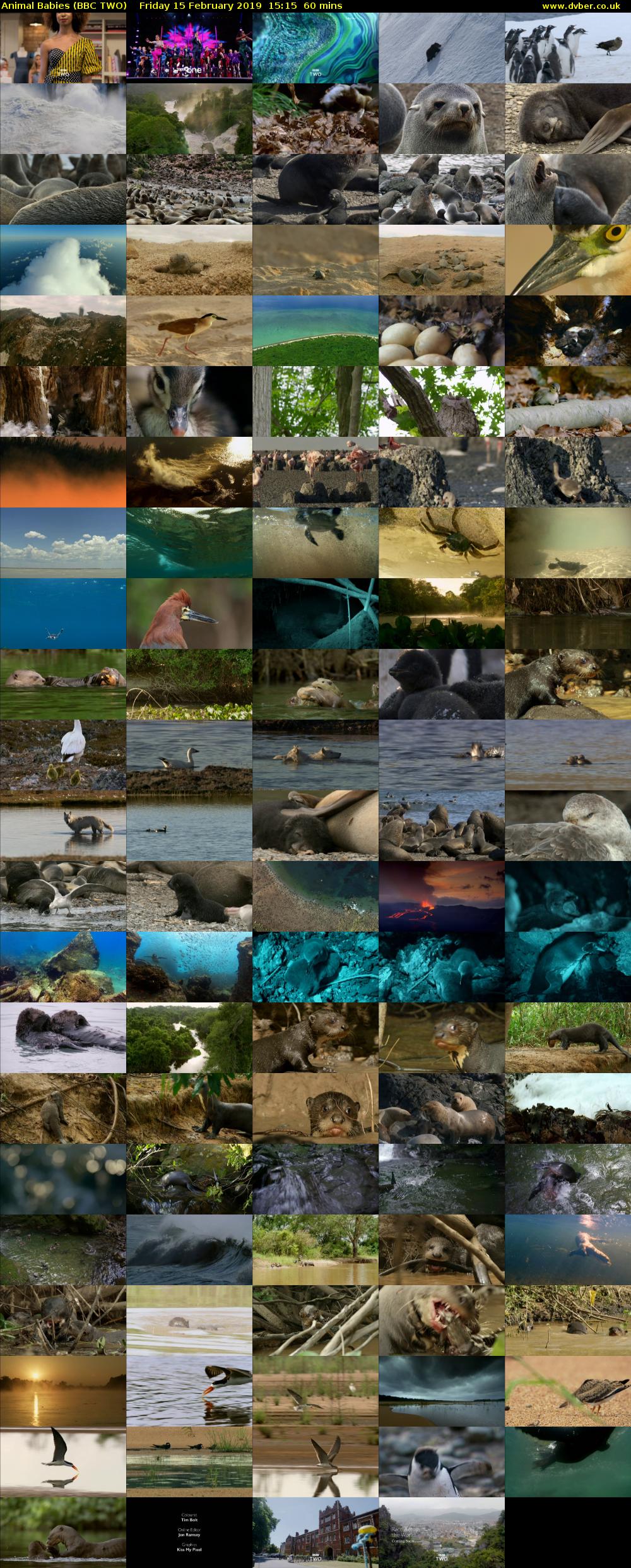 Animal Babies (BBC TWO) Friday 15 February 2019 15:15 - 16:15