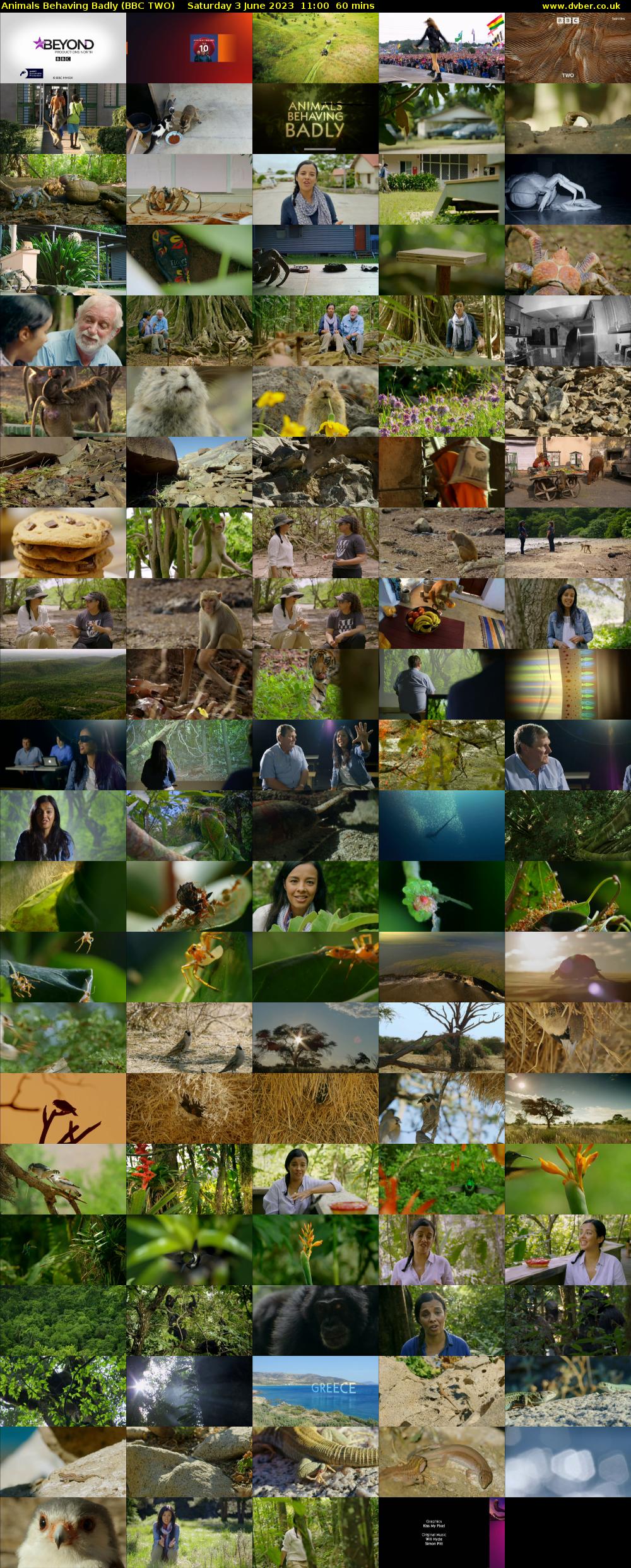 Animals Behaving Badly (BBC TWO) Saturday 3 June 2023 11:00 - 12:00