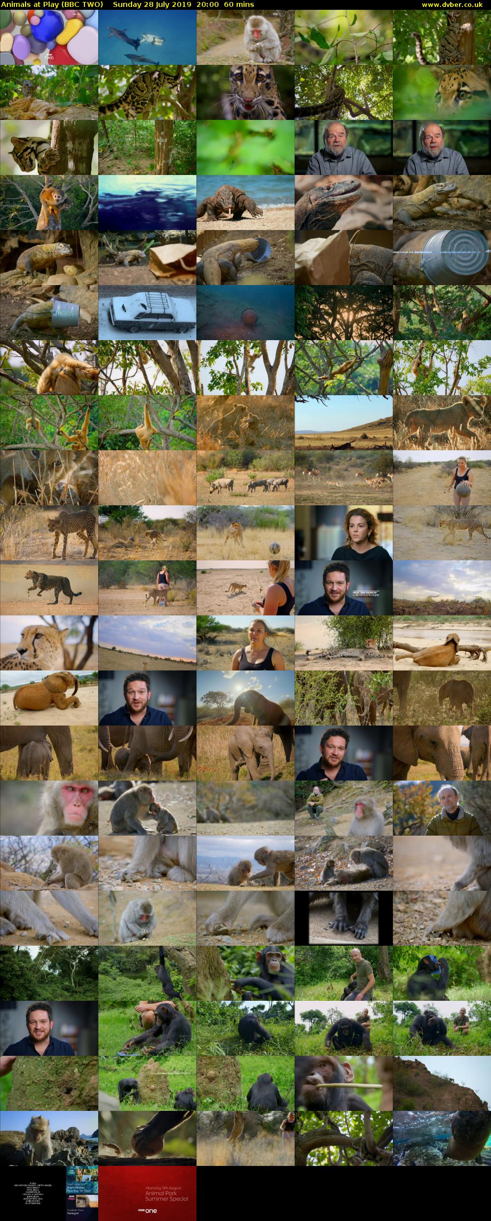 Animals at Play (BBC TWO) Sunday 28 July 2019 20:00 - 21:00