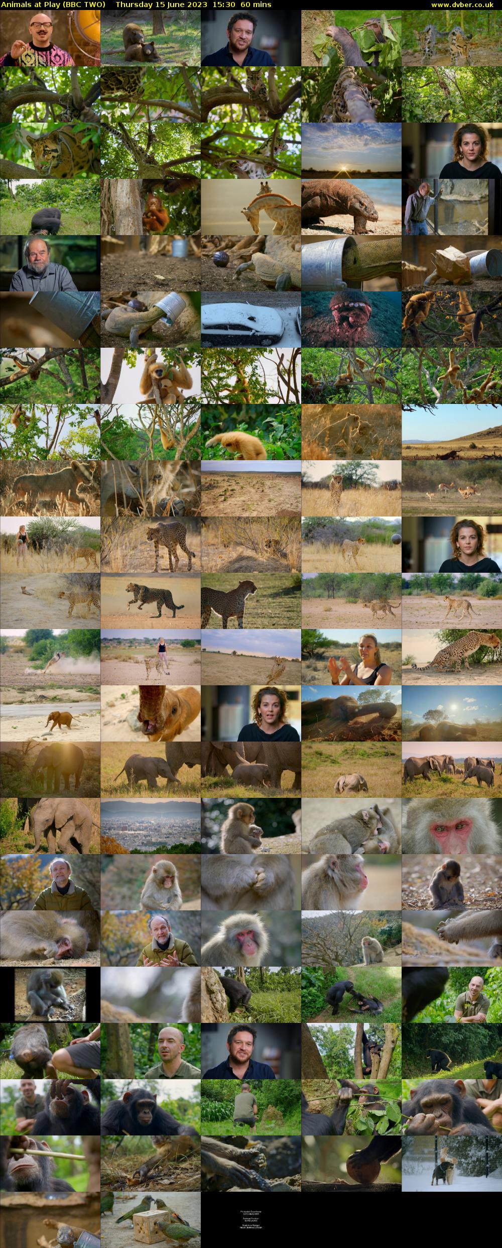 Animals at Play (BBC TWO) Thursday 15 June 2023 15:30 - 16:30