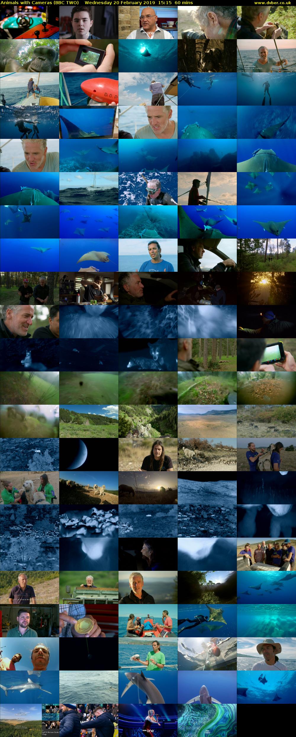 Animals with Cameras (BBC TWO) Wednesday 20 February 2019 15:15 - 16:15