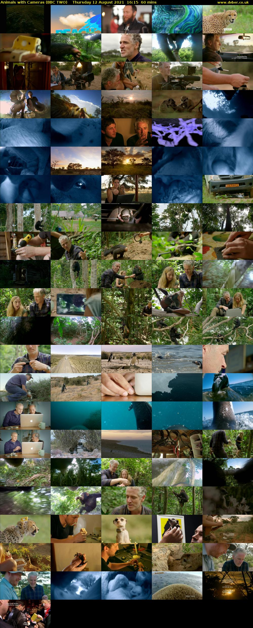 Animals with Cameras (BBC TWO) Thursday 12 August 2021 16:15 - 17:15