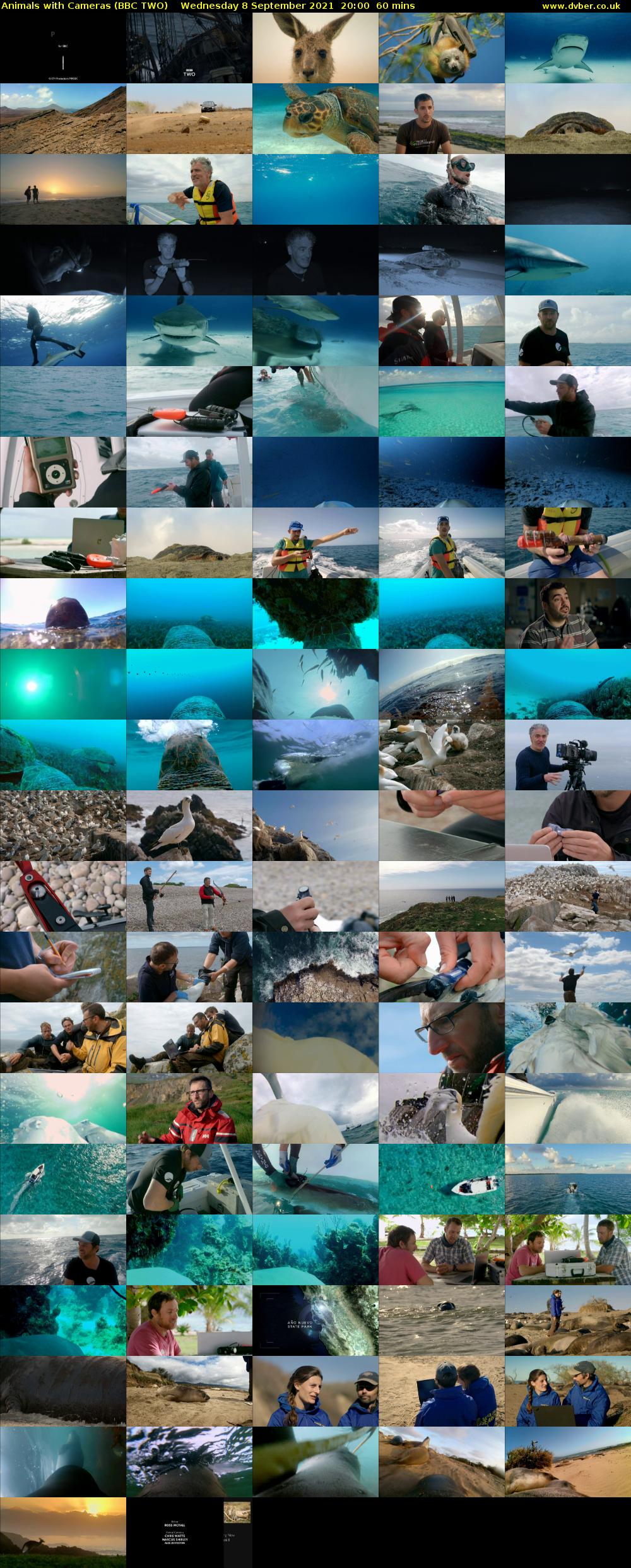 Animals with Cameras (BBC TWO) Wednesday 8 September 2021 20:00 - 21:00