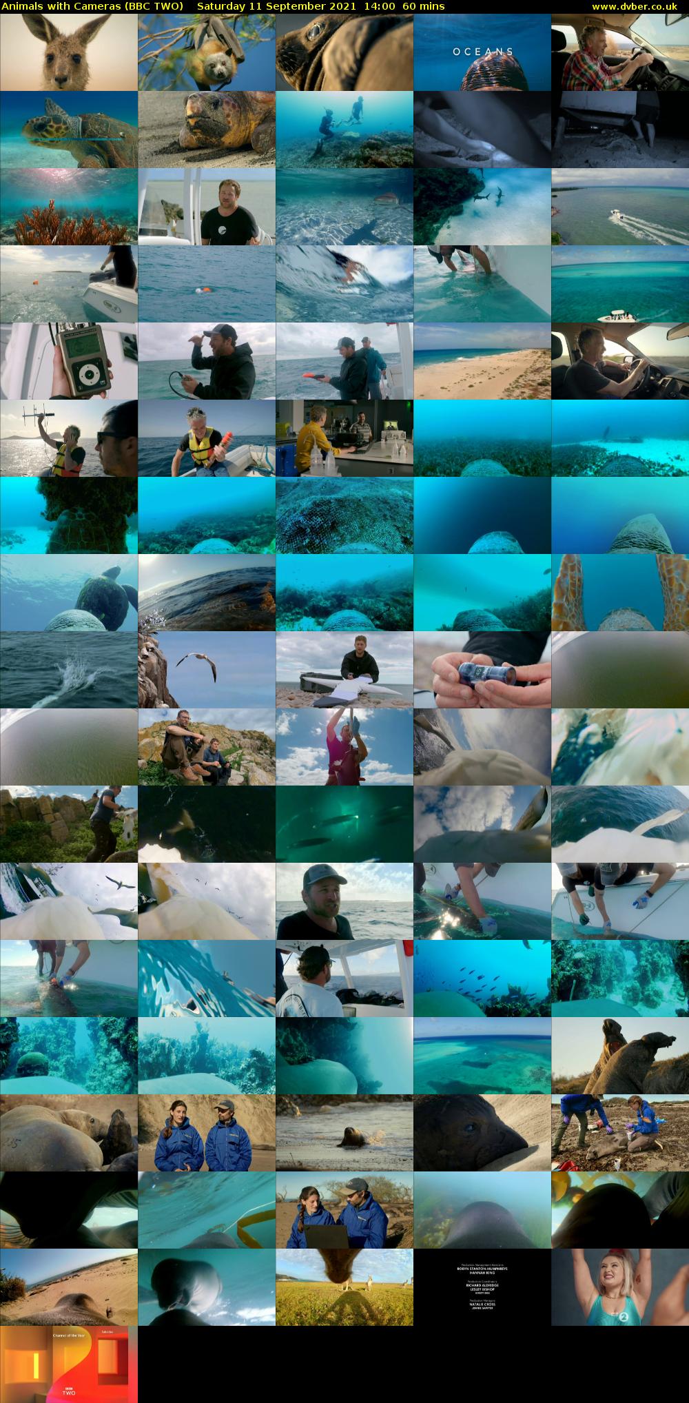 Animals with Cameras (BBC TWO) Saturday 11 September 2021 14:00 - 15:00