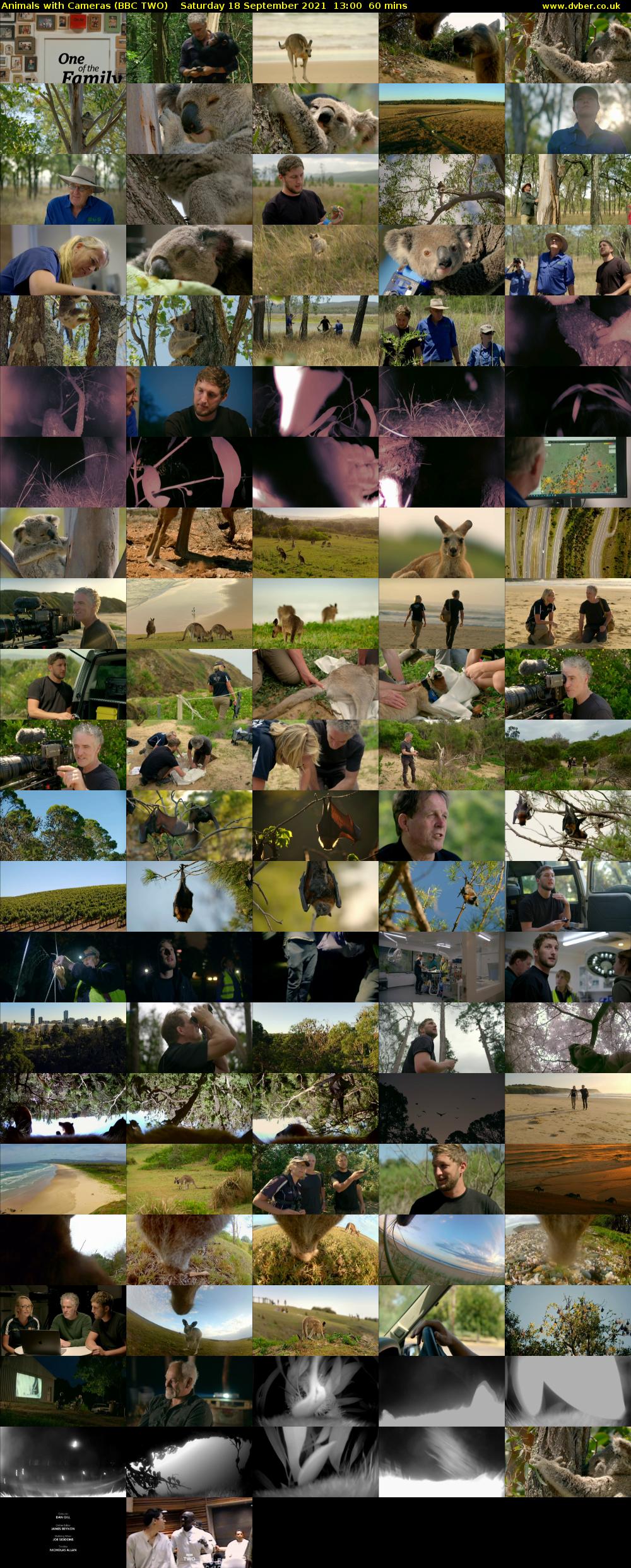 Animals with Cameras (BBC TWO) Saturday 18 September 2021 13:00 - 14:00