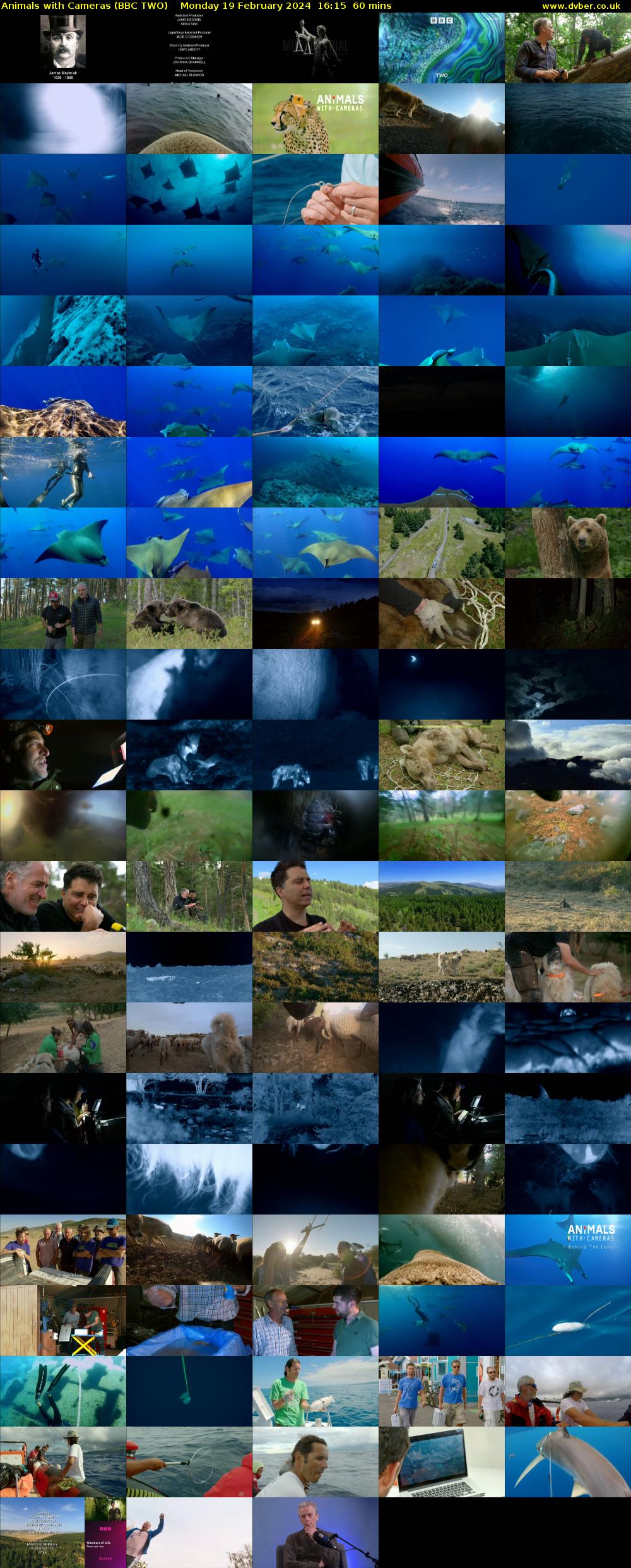 Animals with Cameras (BBC TWO) Monday 19 February 2024 16:15 - 17:15