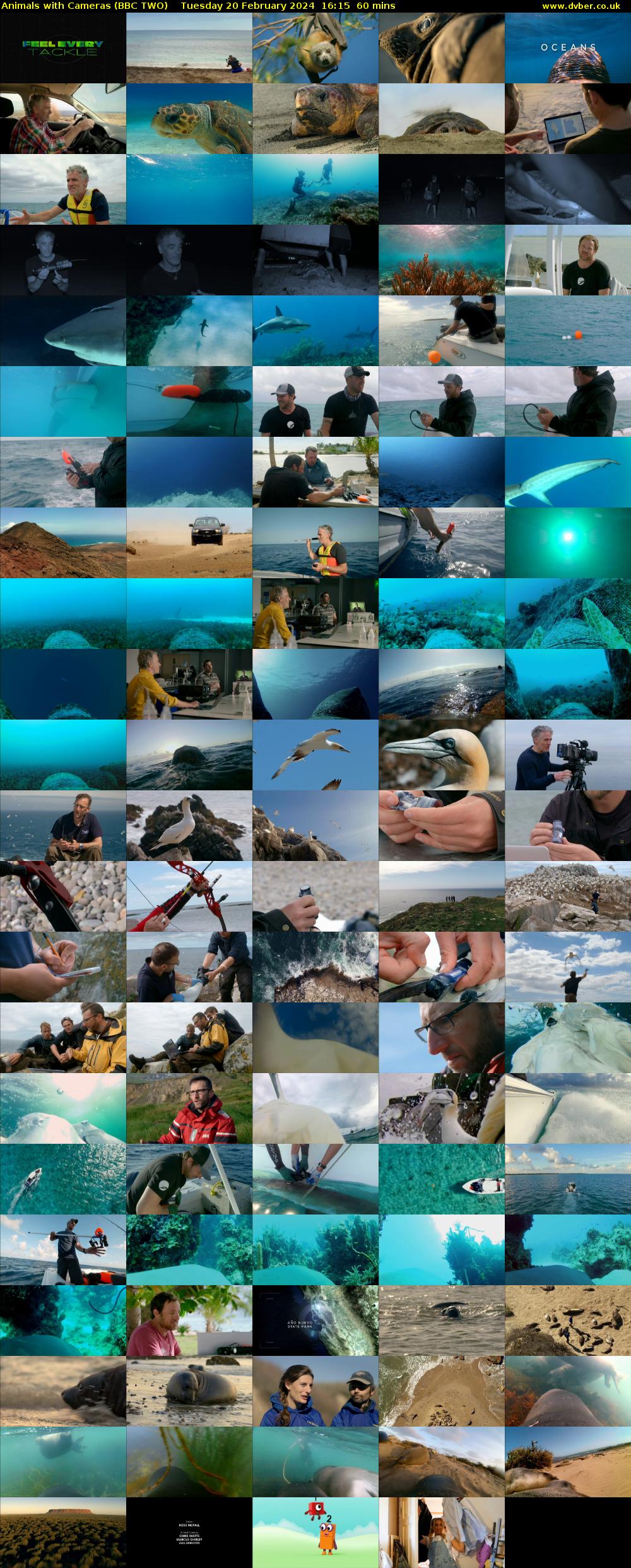Animals with Cameras (BBC TWO) Tuesday 20 February 2024 16:15 - 17:15