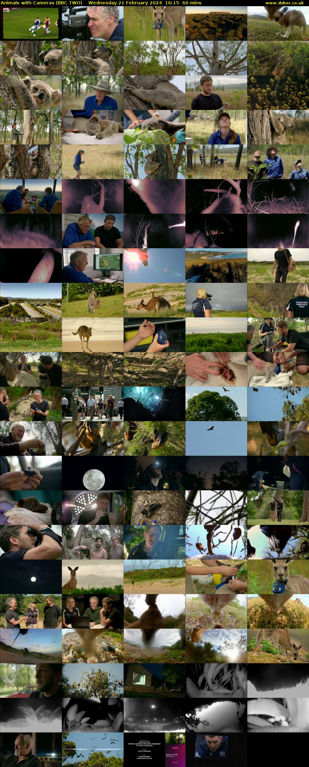 Animals with Cameras (BBC TWO) Wednesday 21 February 2024 16:15 - 17:15