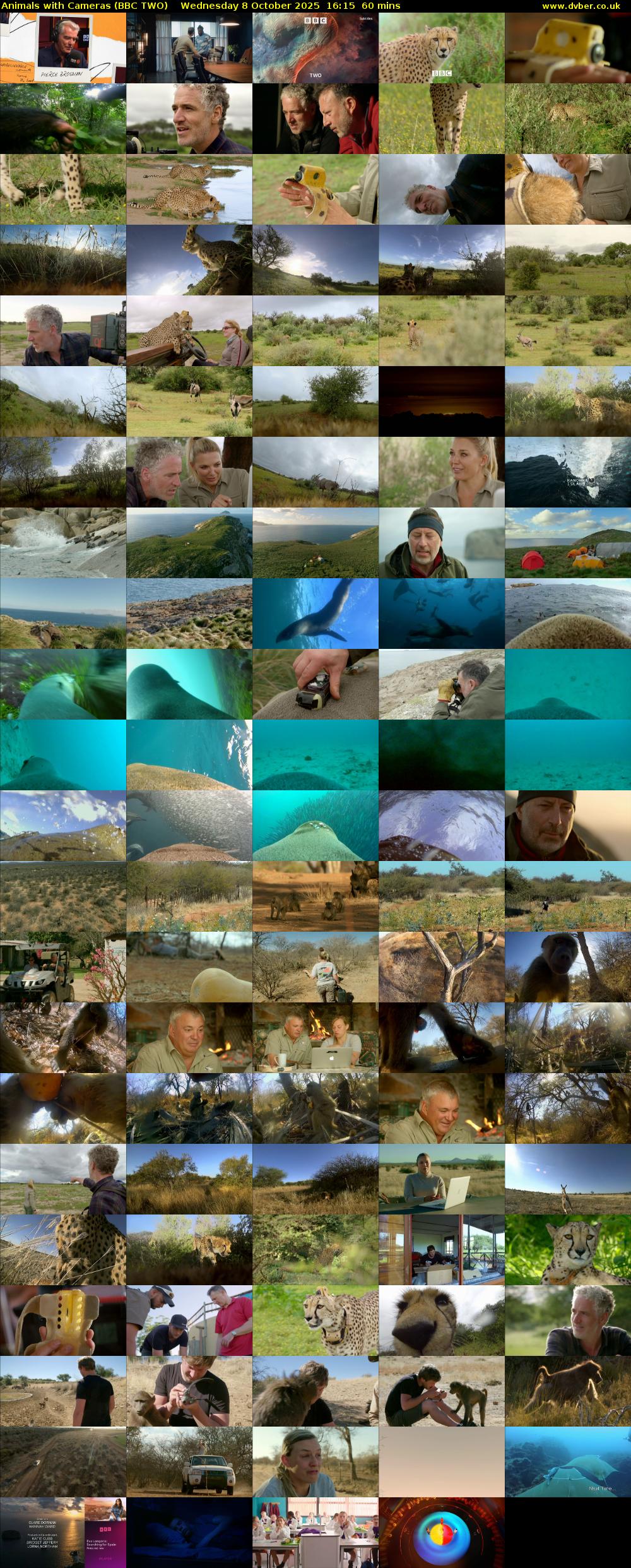 Animals with Cameras (BBC TWO) Wednesday 8 October 2025 16:15 - 17:15