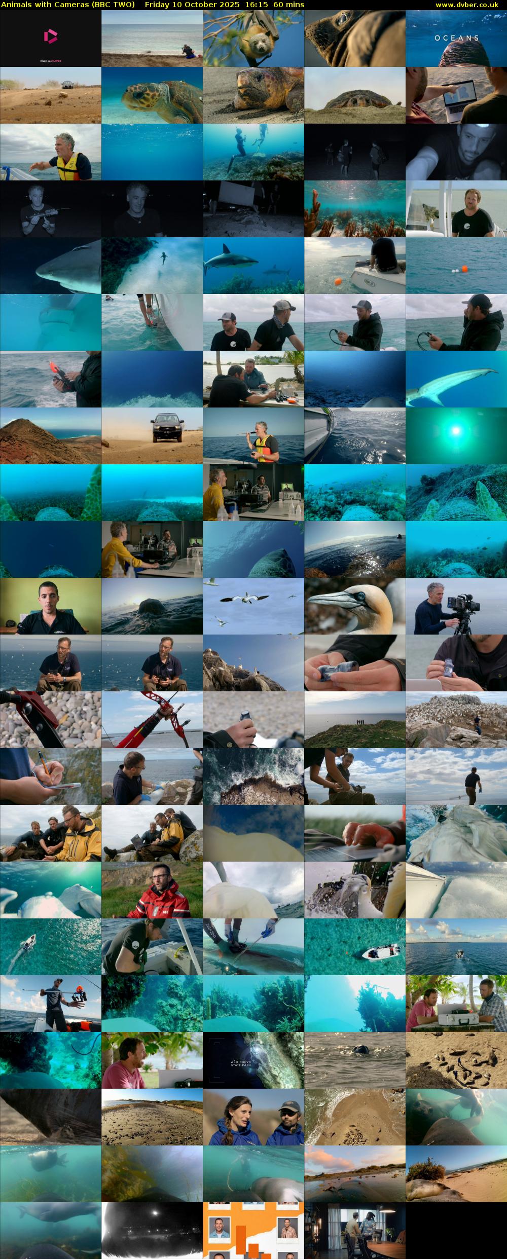 Animals with Cameras (BBC TWO) Friday 10 October 2025 16:15 - 17:15