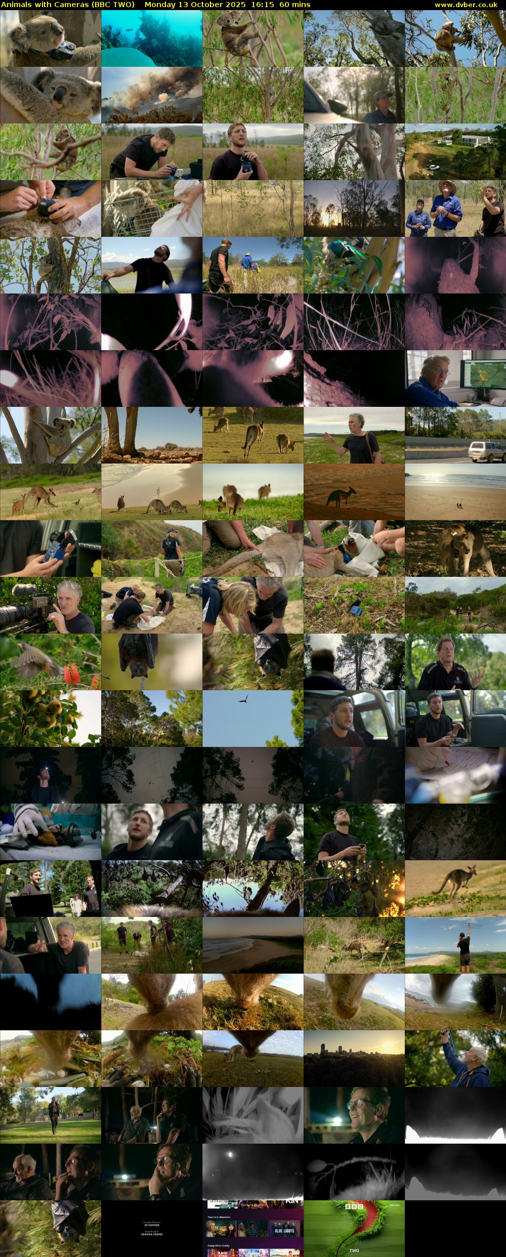 Animals with Cameras (BBC TWO) Monday 13 October 2025 16:15 - 17:15