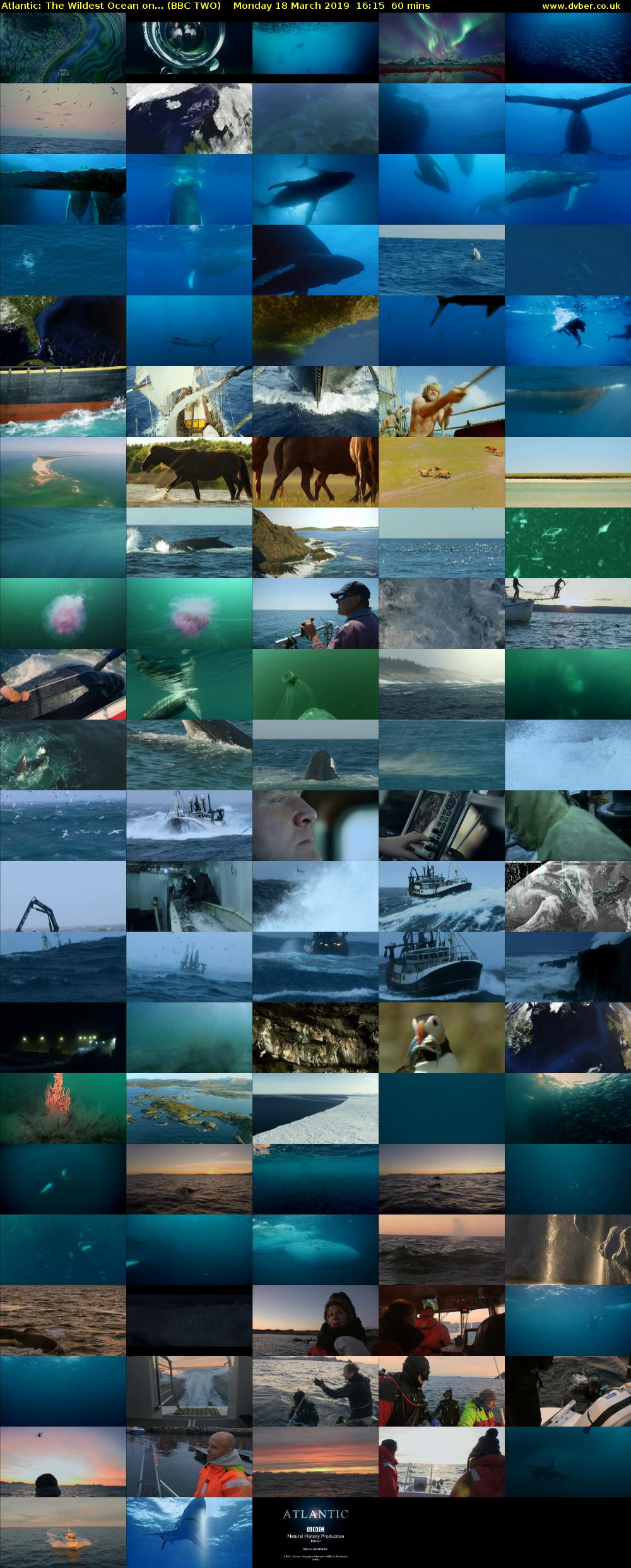 Atlantic: The Wildest Ocean on... (BBC TWO) Monday 18 March 2019 16:15 - 17:15