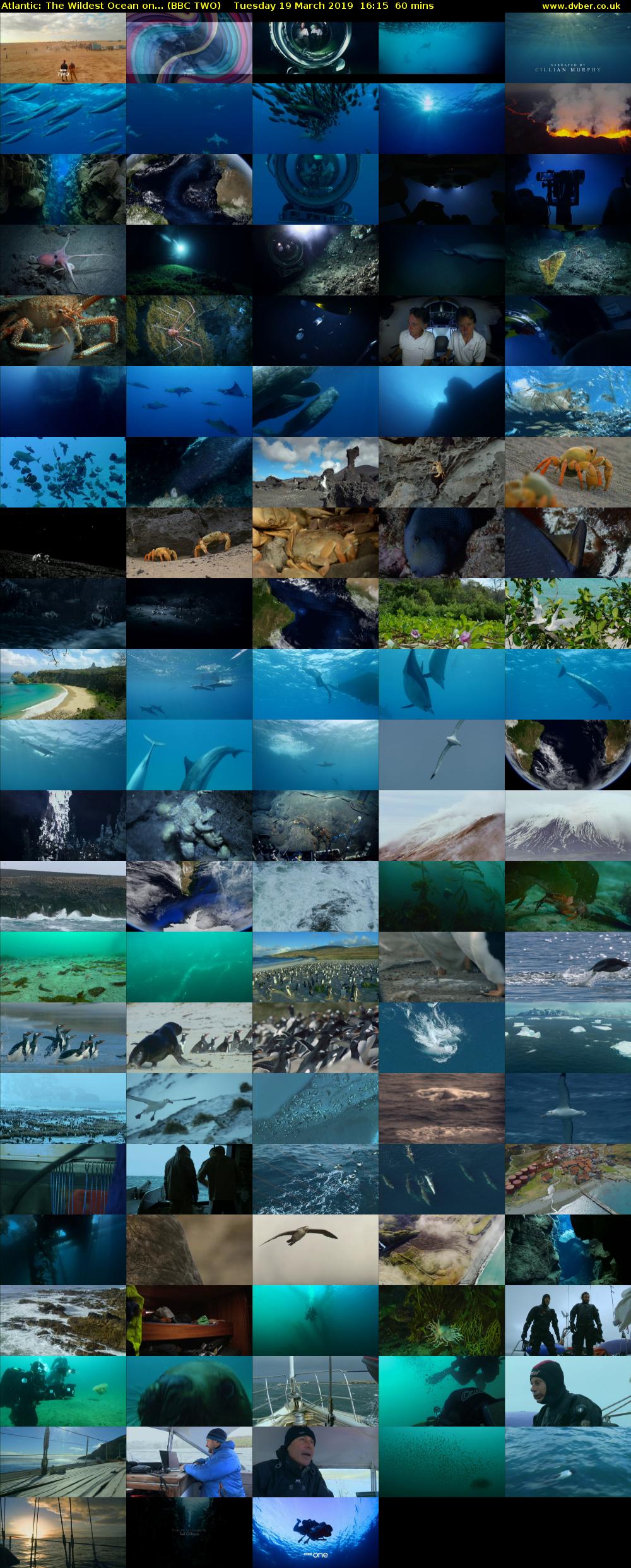 Atlantic: The Wildest Ocean on... (BBC TWO) Tuesday 19 March 2019 16:15 - 17:15
