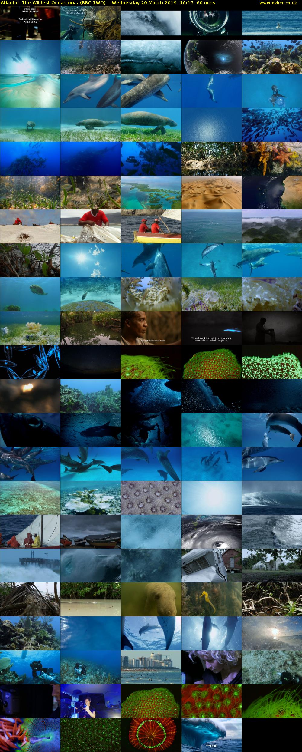 Atlantic: The Wildest Ocean on... (BBC TWO) Wednesday 20 March 2019 16:15 - 17:15