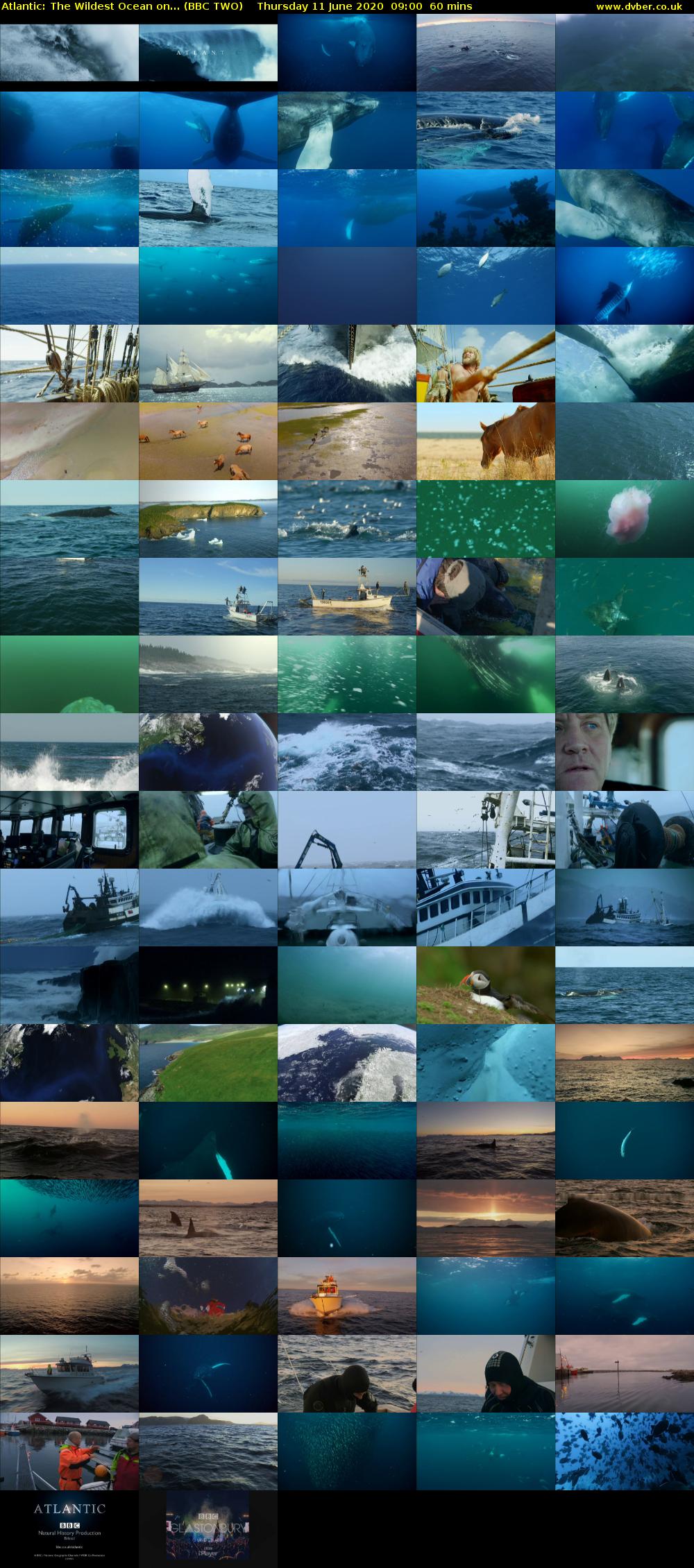 Atlantic: The Wildest Ocean on... (BBC TWO) Thursday 11 June 2020 09:00 - 10:00