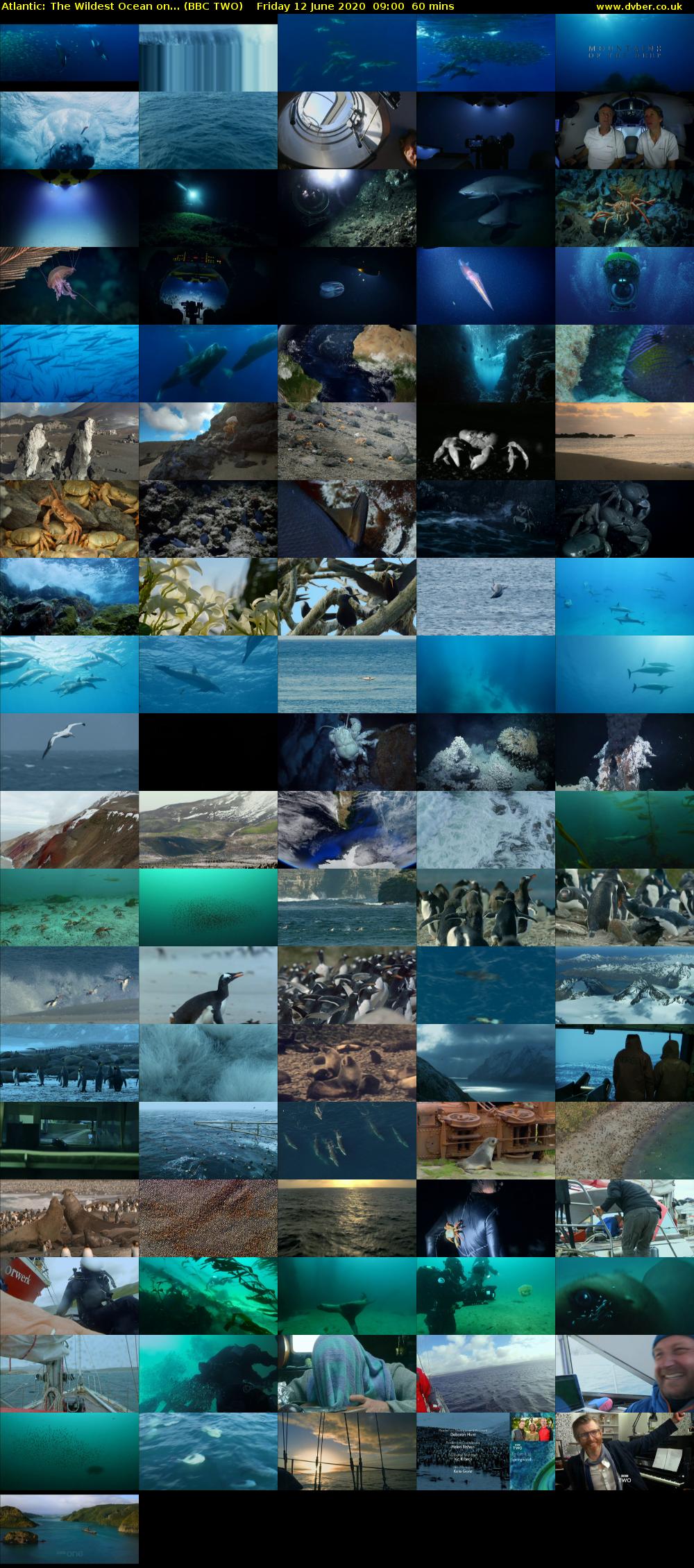 Atlantic: The Wildest Ocean on... (BBC TWO) Friday 12 June 2020 09:00 - 10:00