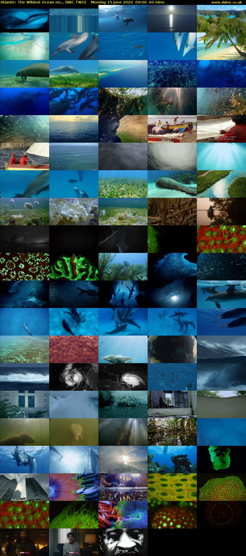 Atlantic: The Wildest Ocean on... (BBC TWO) Monday 15 June 2020 09:00 - 10:00