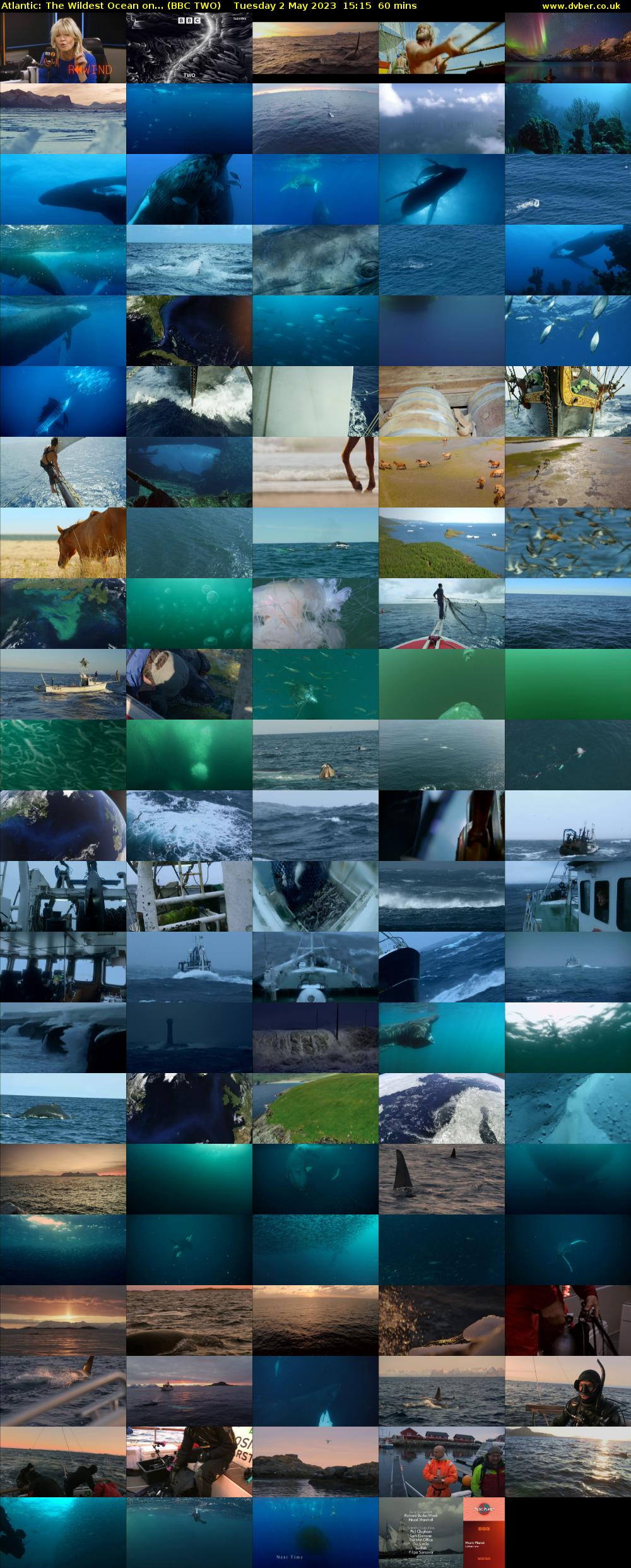 Atlantic: The Wildest Ocean on... (BBC TWO) Tuesday 2 May 2023 15:15 - 16:15