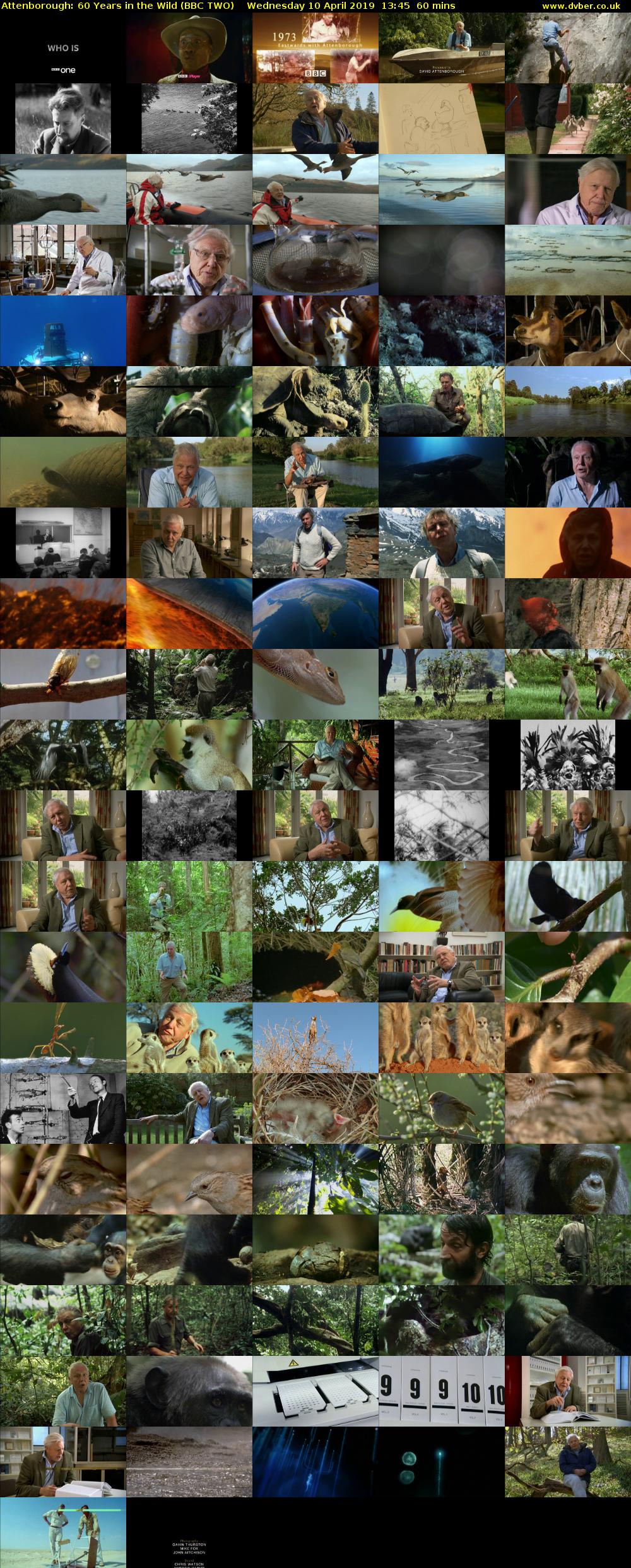 Attenborough: 60 Years in the Wild (BBC TWO) Wednesday 10 April 2019 13:45 - 14:45