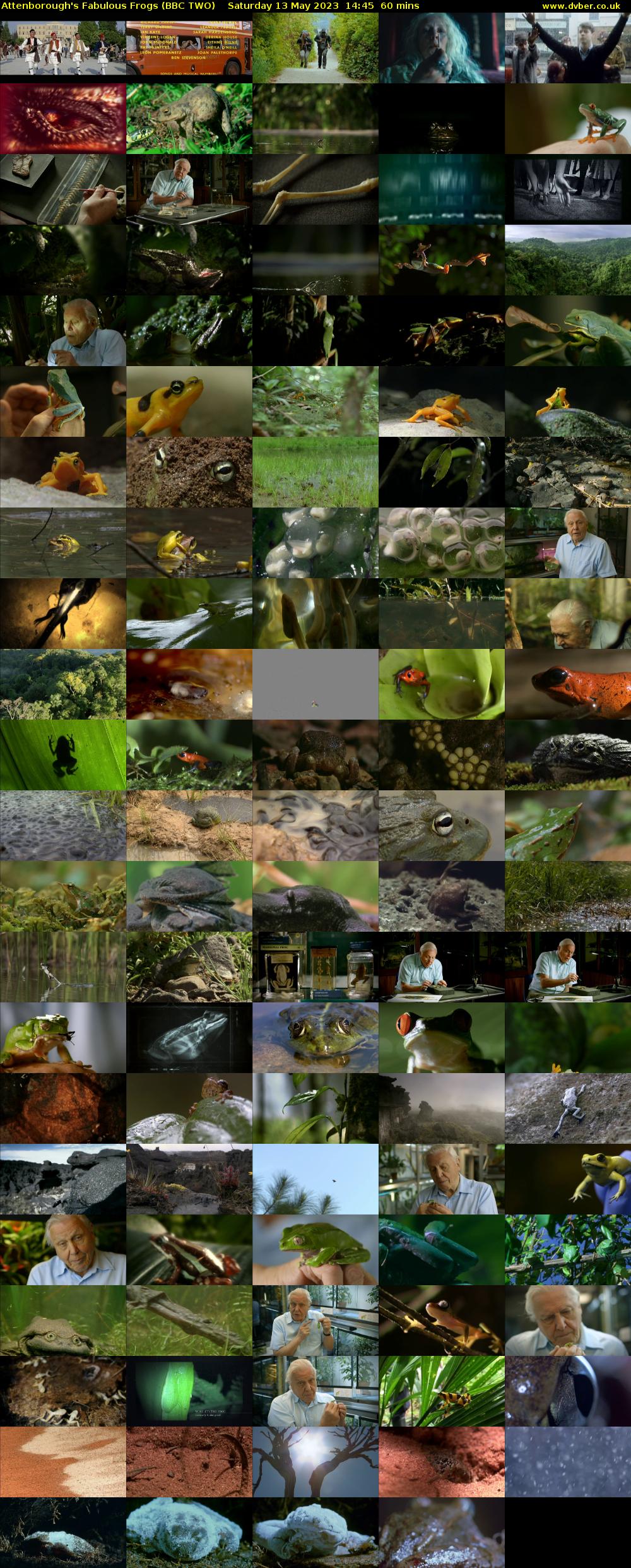 Attenborough's Fabulous Frogs (BBC TWO) Saturday 13 May 2023 14:45 - 15:45