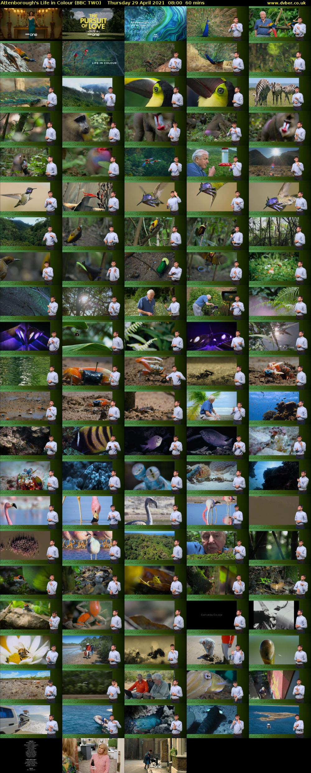 Attenborough's Life in Colour (BBC TWO) Thursday 29 April 2021 08:00 - 09:00