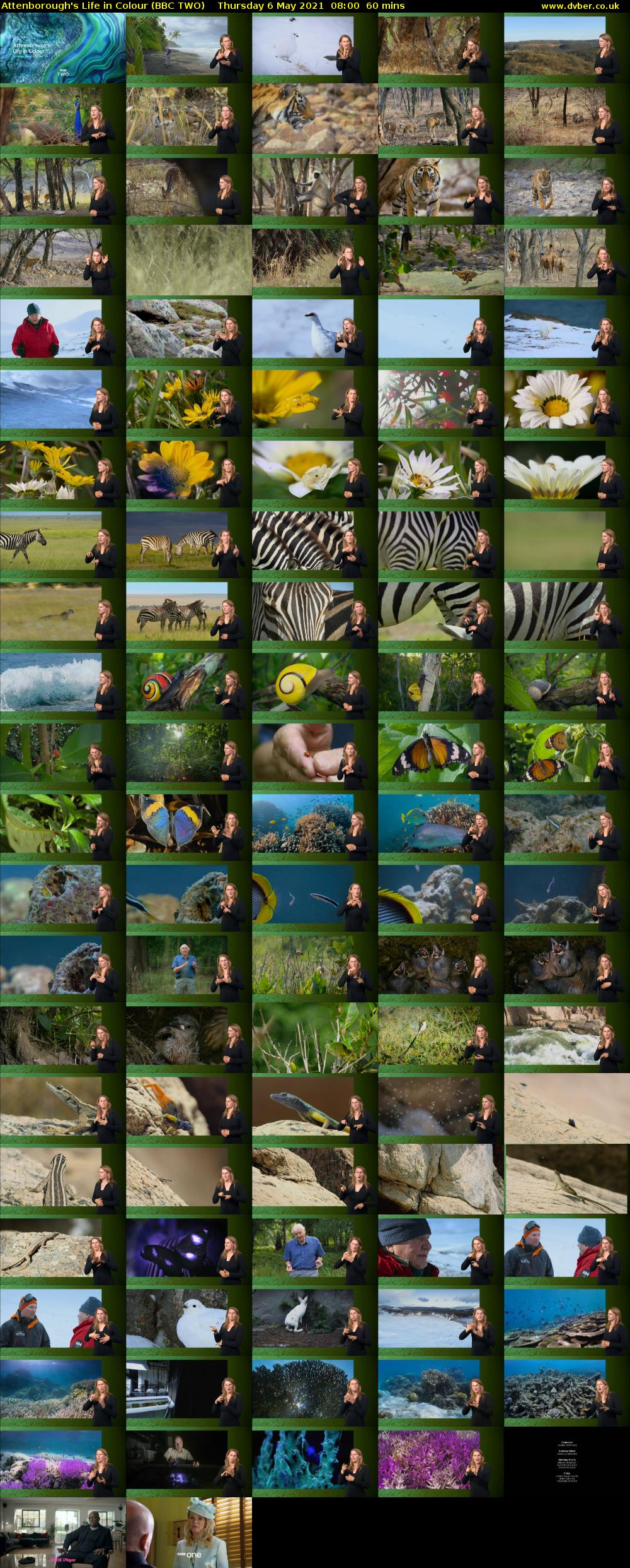 Attenborough's Life in Colour (BBC TWO) Thursday 6 May 2021 08:00 - 09:00