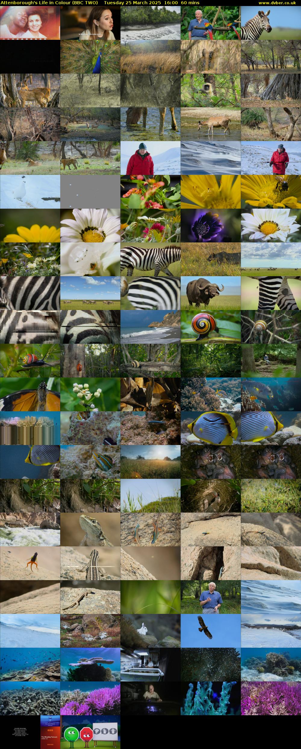 Attenborough's Life in Colour (BBC TWO) Tuesday 25 March 2025 16:00 - 17:00