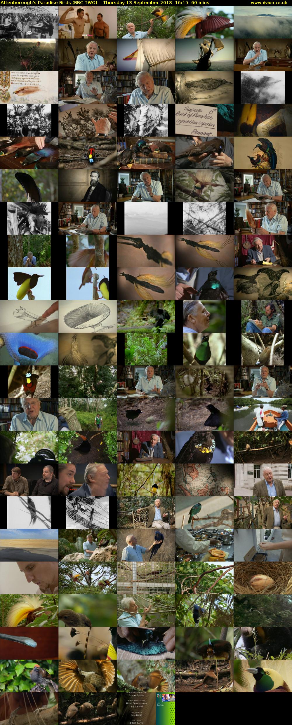 Attenborough's Paradise Birds (BBC TWO) Thursday 13 September 2018 16:15 - 17:15