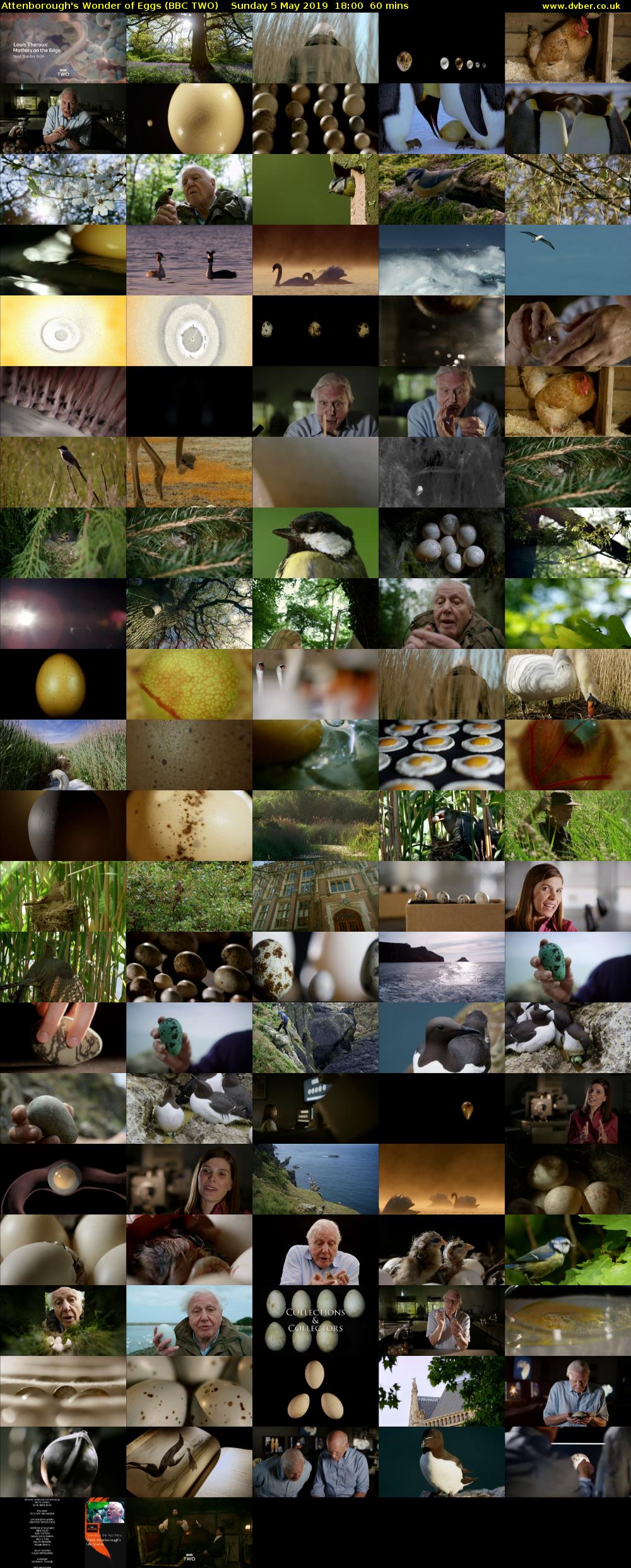 Attenborough's Wonder of Eggs (BBC TWO) Sunday 5 May 2019 18:00 - 19:00