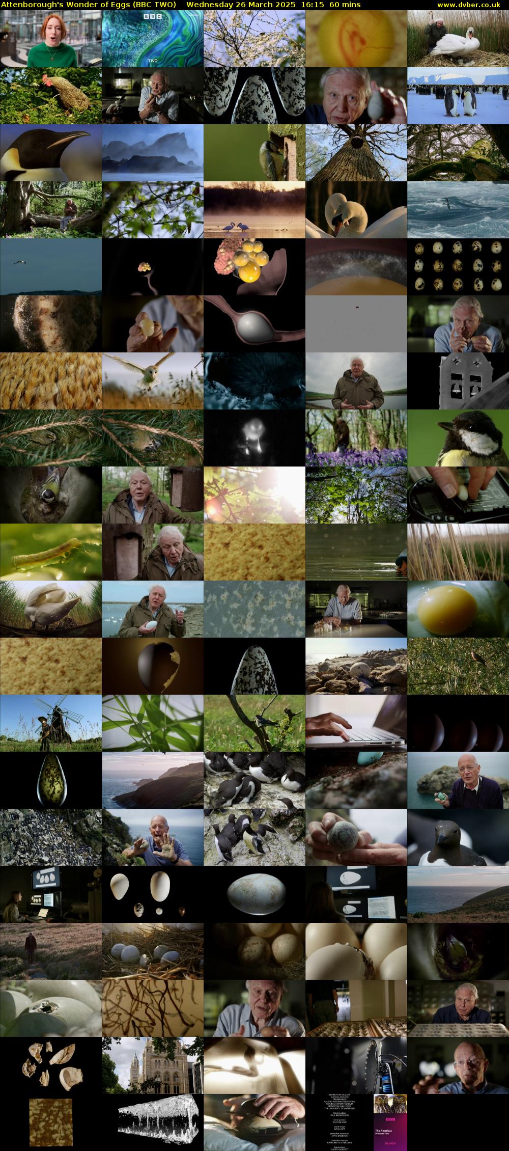 Attenborough's Wonder of Eggs (BBC TWO) Wednesday 26 March 2025 16:15 - 17:15