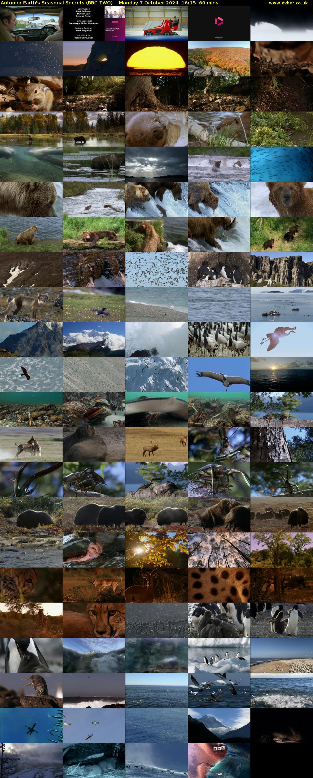 Autumn: Earth's Seasonal Secrets (BBC TWO) Monday 7 October 2024 16:15 - 17:15