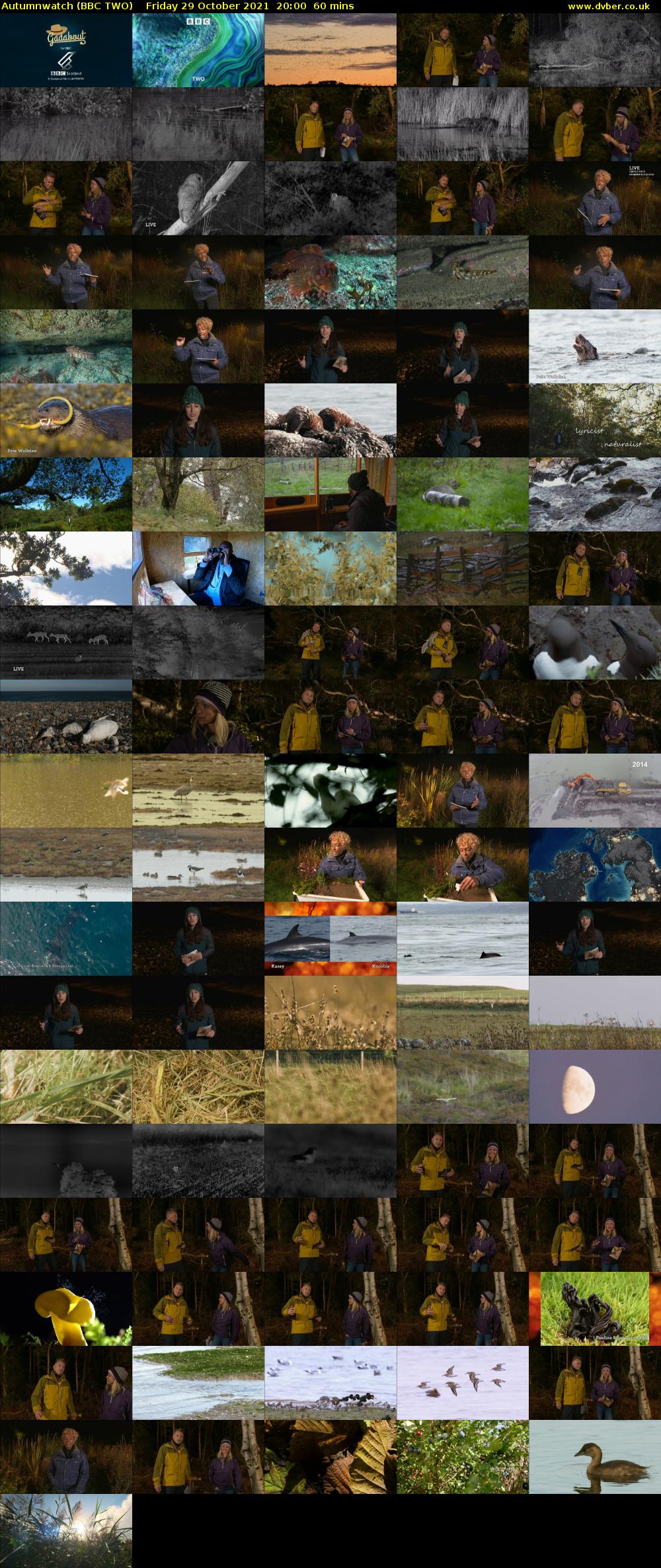 Autumnwatch (BBC TWO) Friday 29 October 2021 20:00 - 21:00