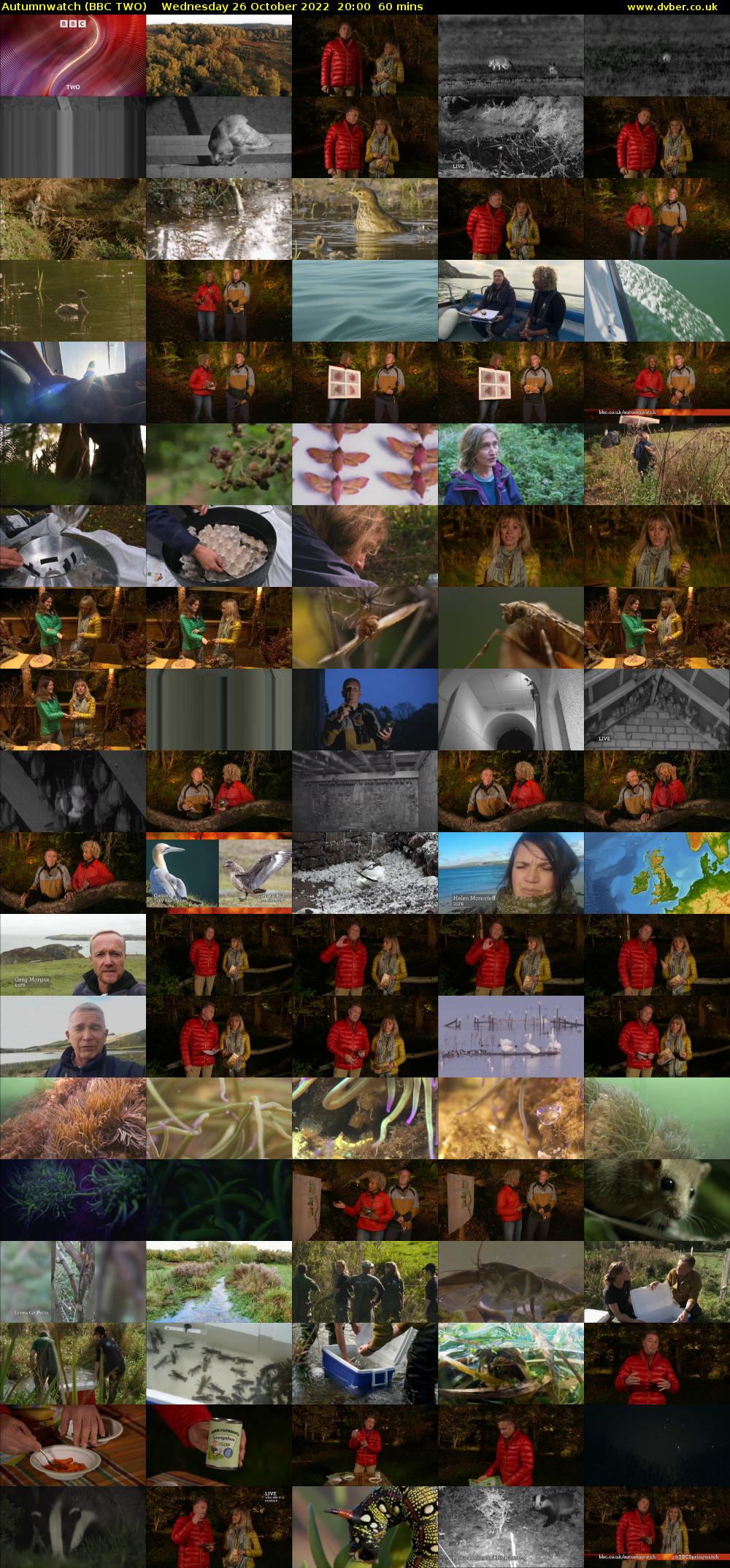Autumnwatch (BBC TWO) Wednesday 26 October 2022 20:00 - 21:00