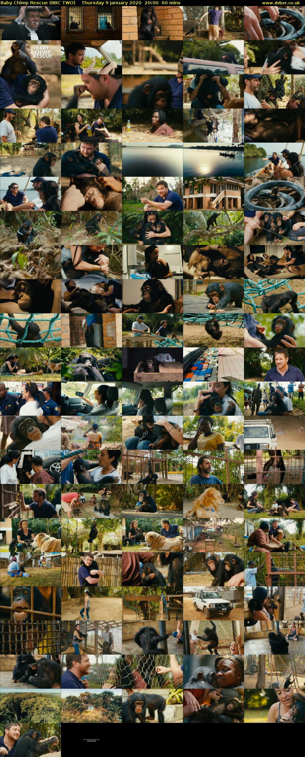 Baby Chimp Rescue (BBC TWO) Thursday 9 January 2020 20:00 - 21:00